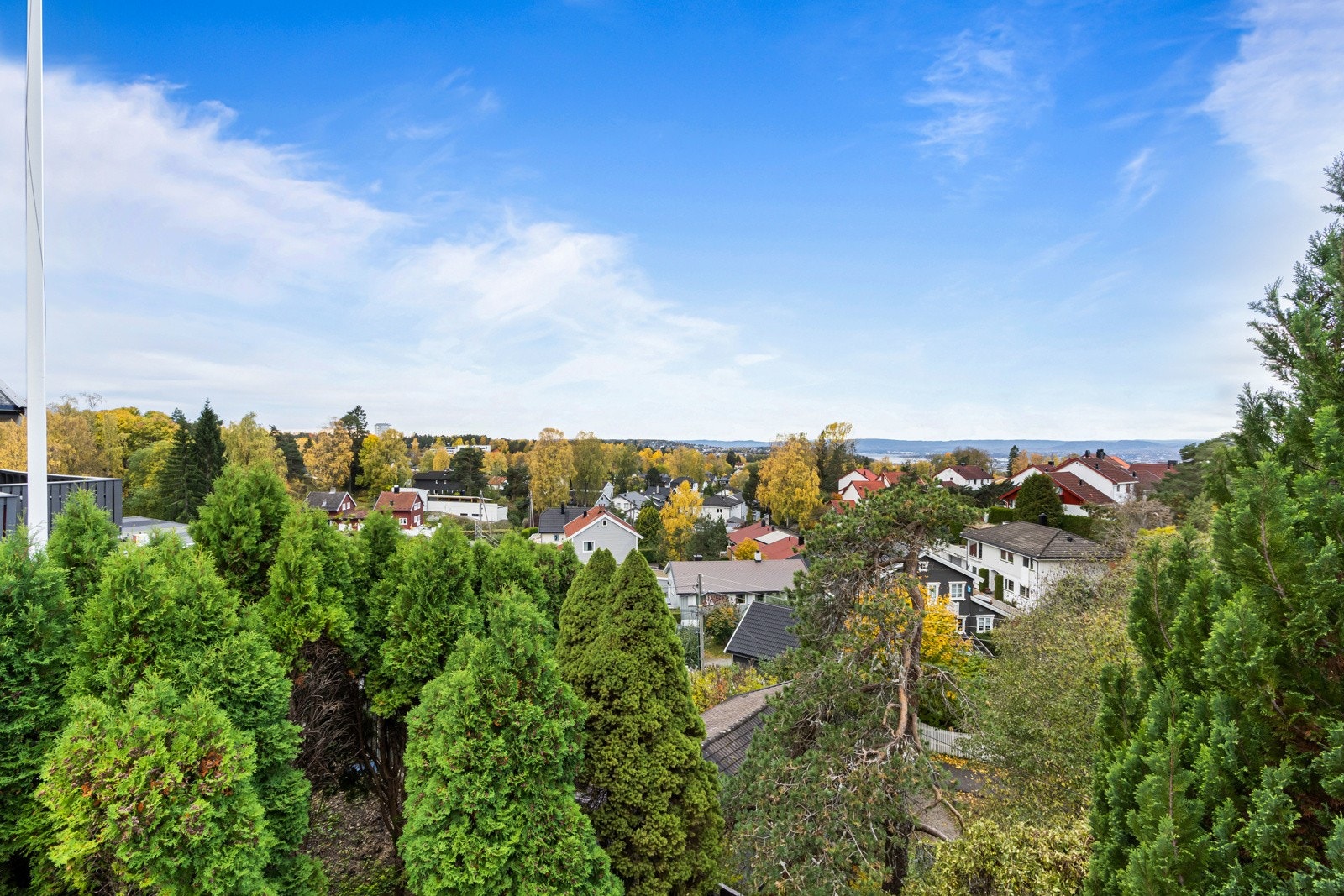 Flott utiskt. Galleribilde