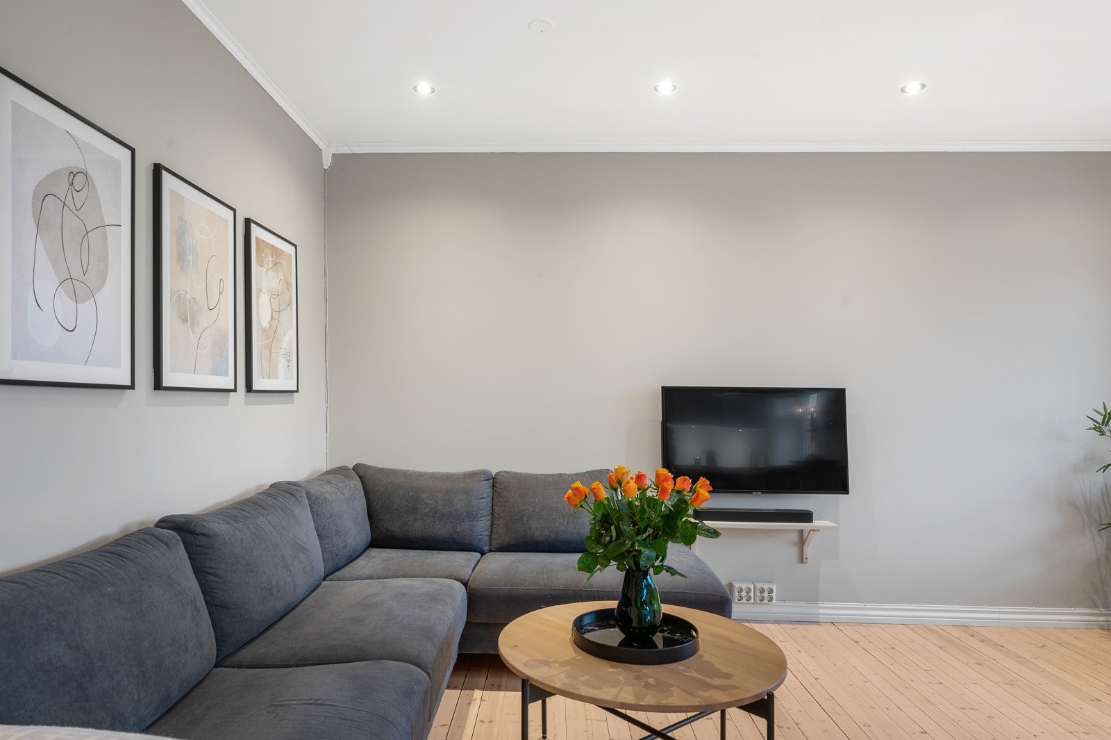 Det er plass til spisebord med stoler, tv- og sofagruppe samt diverse oppbevaringsmøblement. Galleribilde