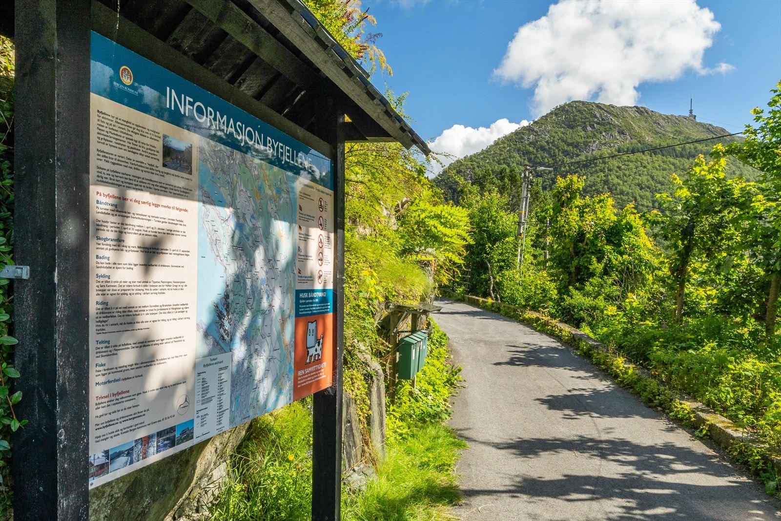 Eiendommen har en fin nærhet til byfjellene med fine og varierte stier og veier opp mot Fløyfjellet, Vidden og Ulriken Galleribilde