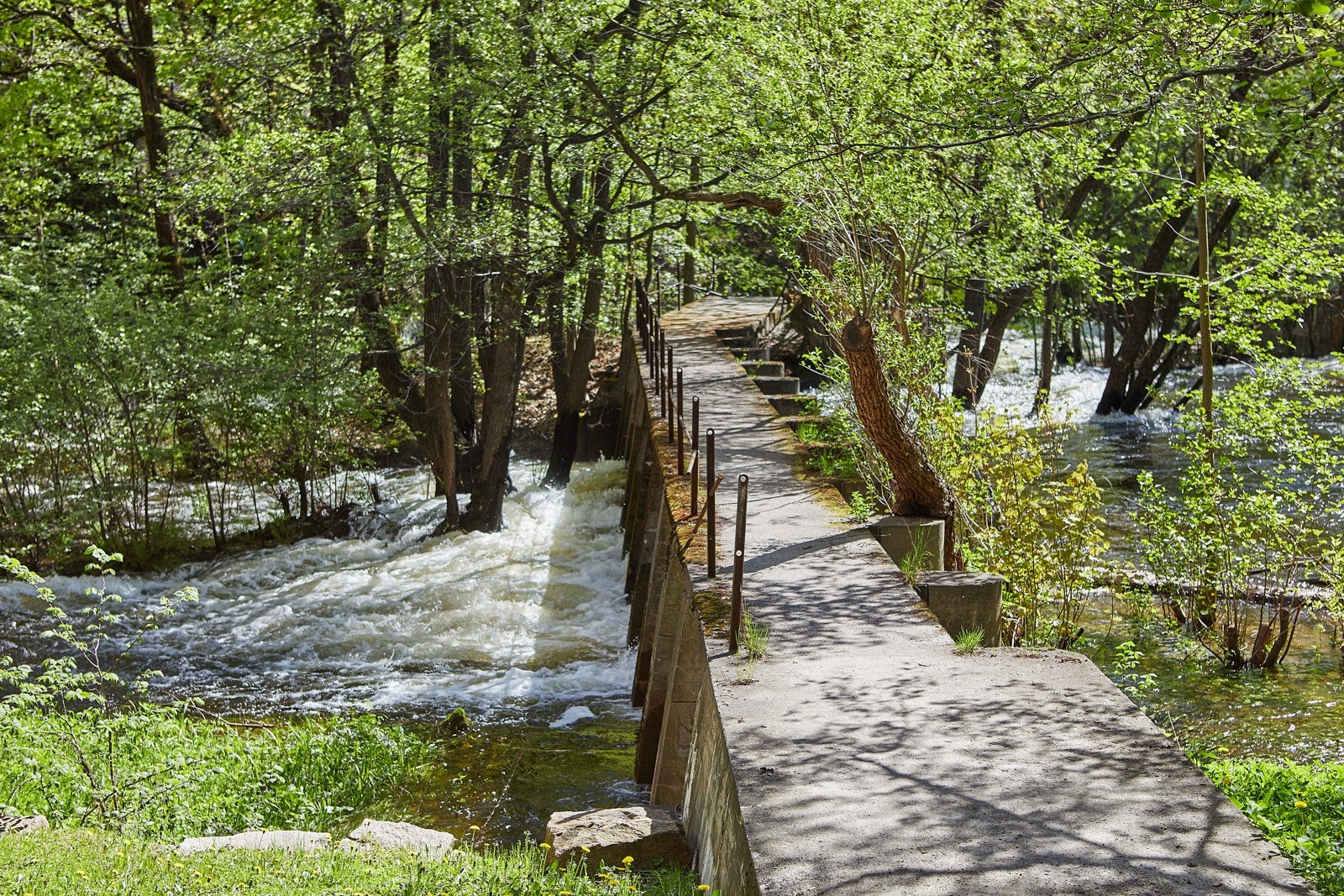 Nærheten til elva er unikt for Lilleborg. Elva benyttes flittig av store og små året rundt. Galleribilde