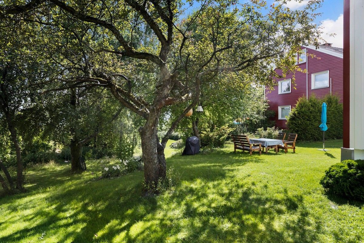 Hagen er pent opparbeidet med gressplen, busker og flotte trær. Galleribilde