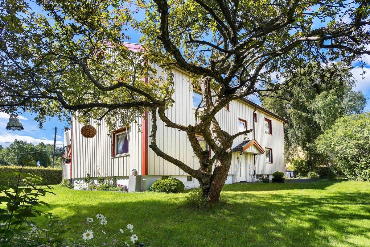 Hagen er godt skjermet fra veien med hekker. Galleribilde