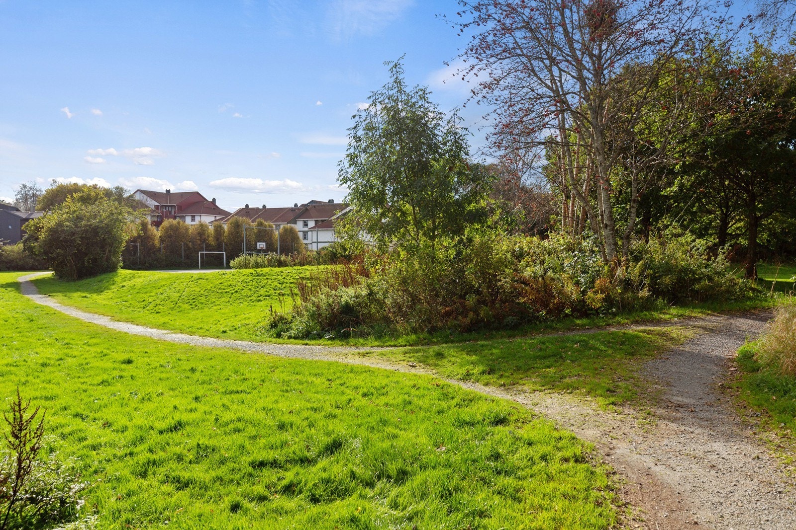 Nærområde Galleribilde