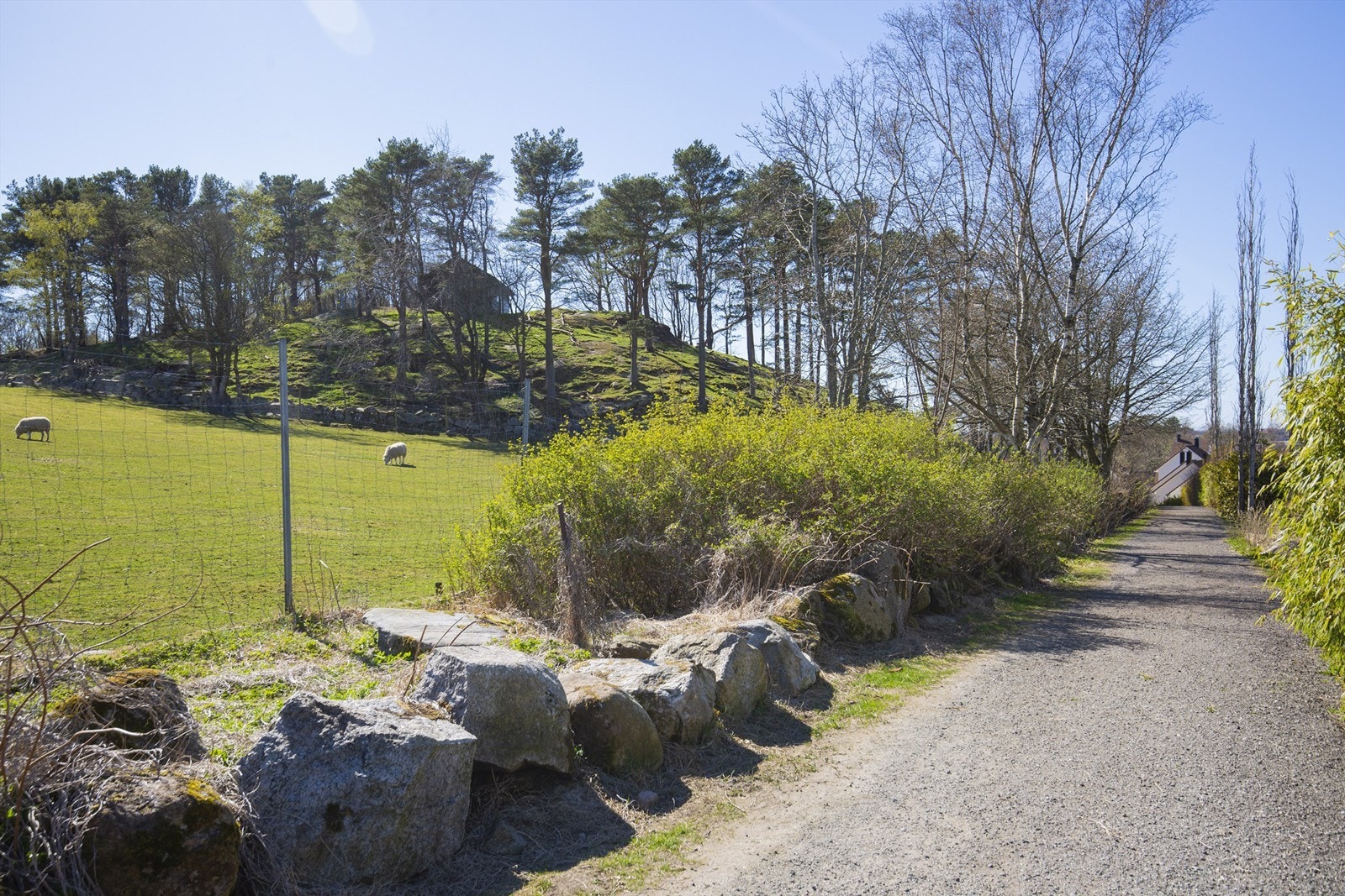 Nærområde Galleribilde