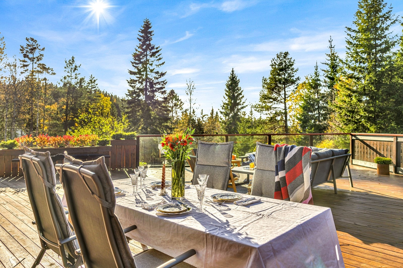 Middag på hovedterrassen. Galleribilde