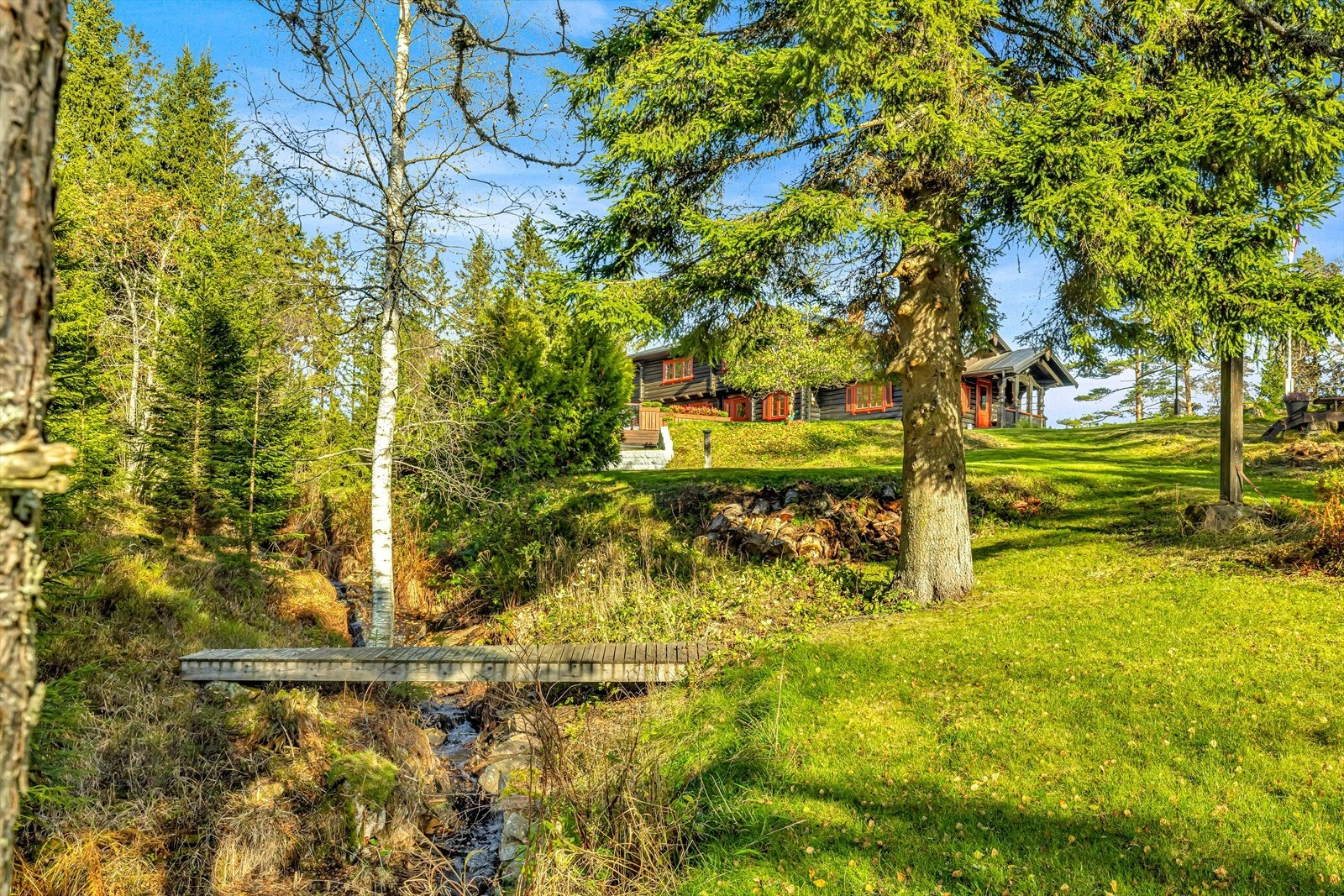 Markaidyll i din egen hage. Galleribilde