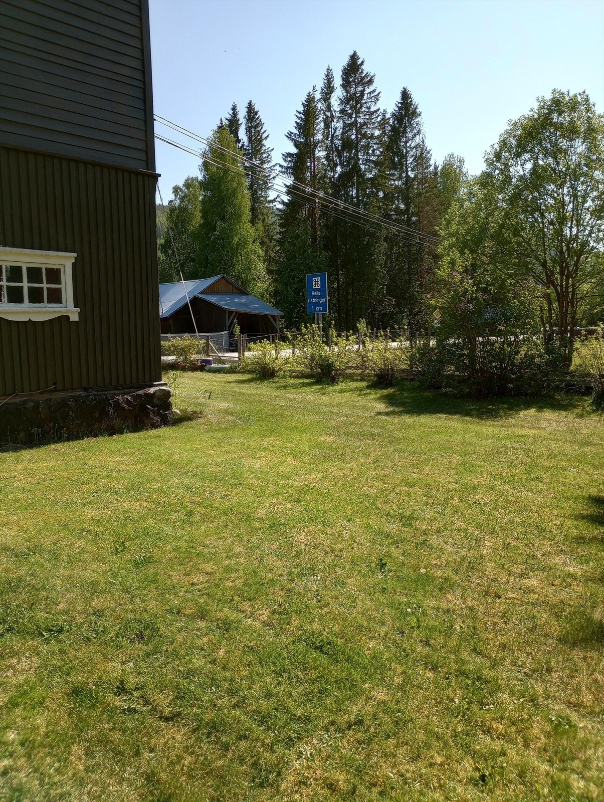 Hagen er en perfekt boltreplass for lek og moro! Galleribilde
