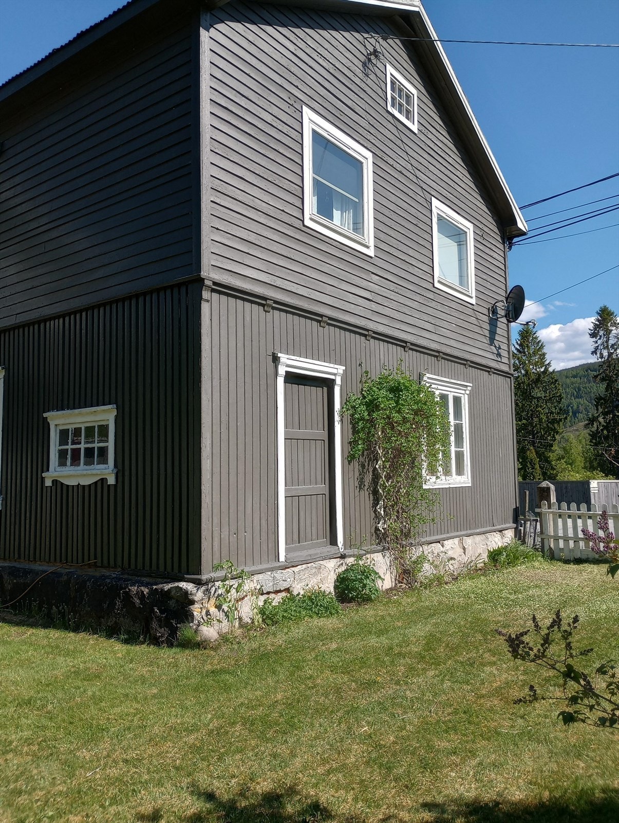 En smak av sommer i Mosvinga! Galleribilde