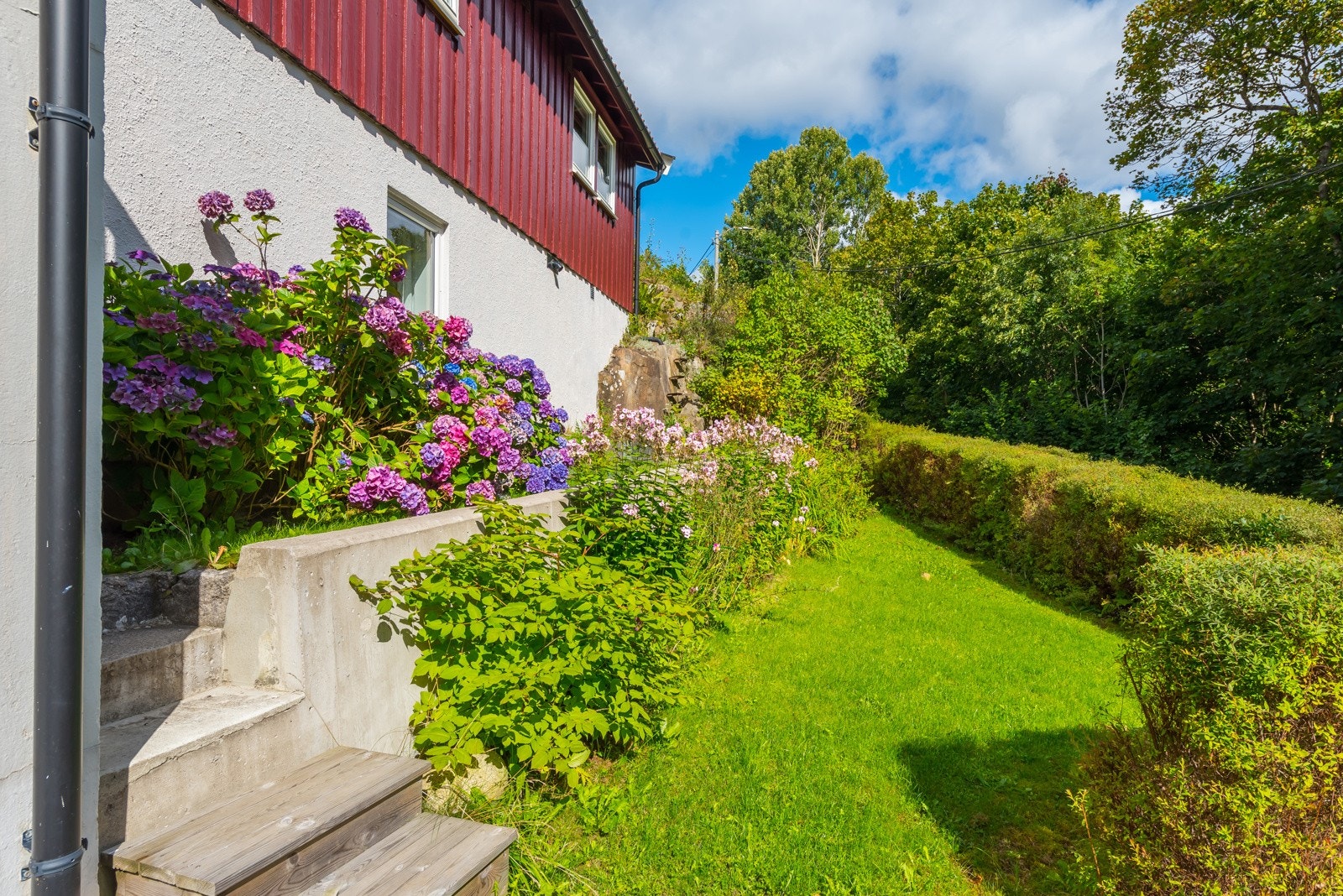 Den ene hagen, som ligger på nedsiden av boligen - Plen og beplantning Galleribilde