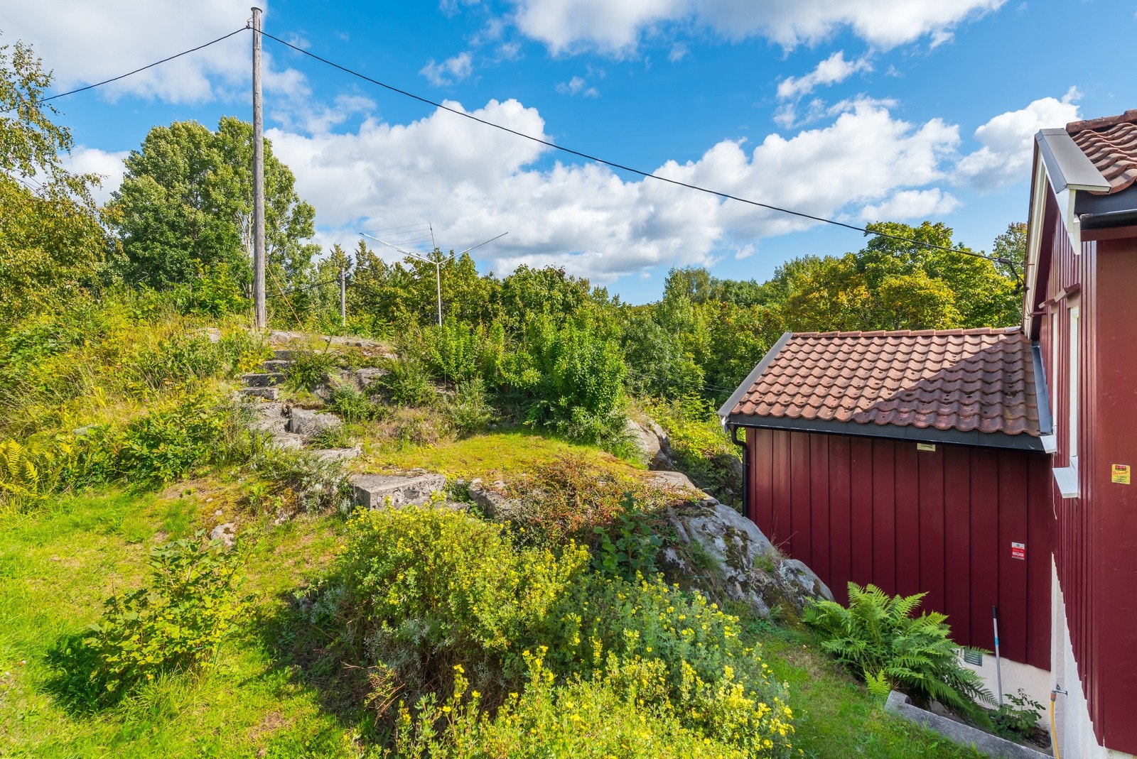 Del av hagen på oversiden av huset Galleribilde