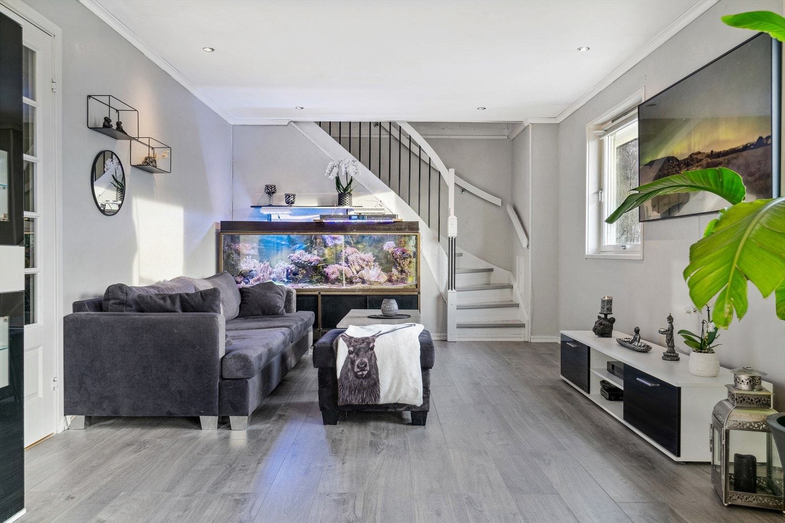 God plass til både sofa- og sittegrupper Galleribilde