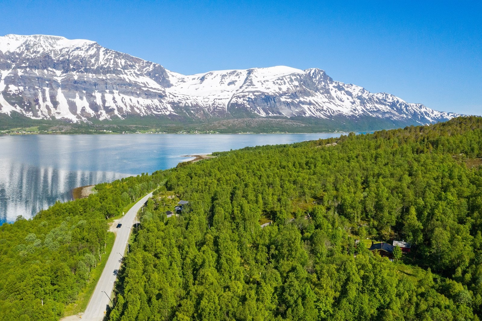 Forside Galleribilde