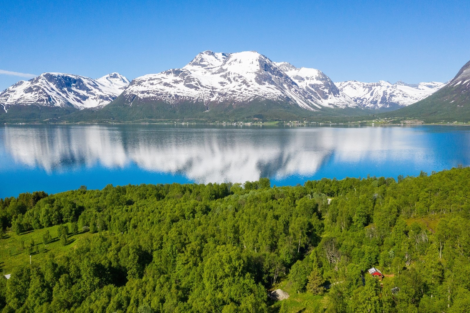 Forside Galleribilde