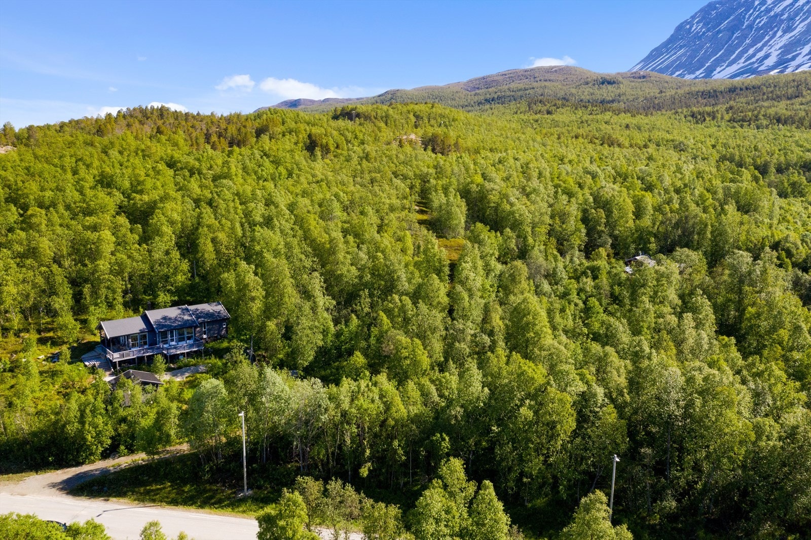 Forside Galleribilde