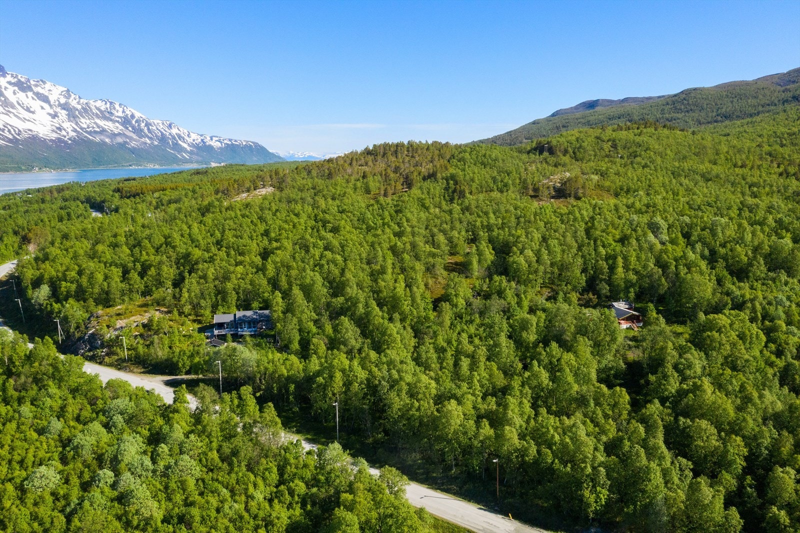 Forside Galleribilde