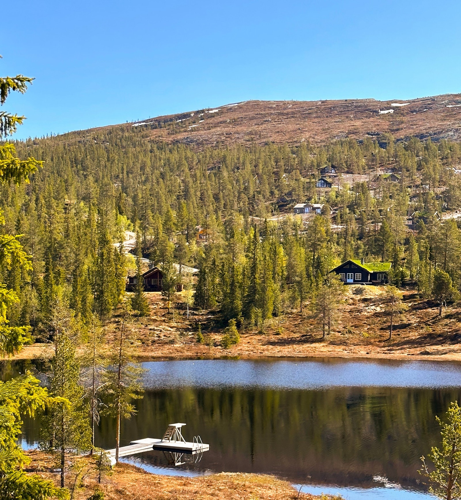 Fra tomteområdet sensommer fra badebrygga ved Breiløk Galleribilde