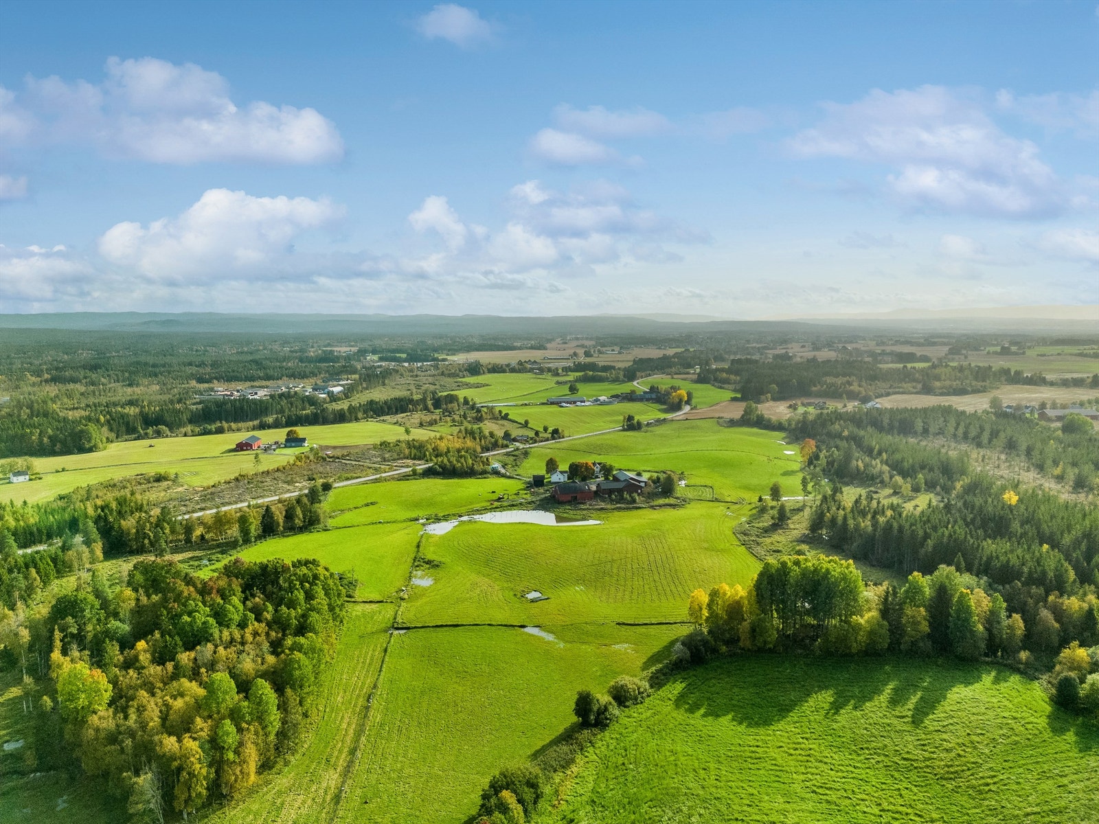 Landskapsomgivelser, retning mot sør Galleribilde