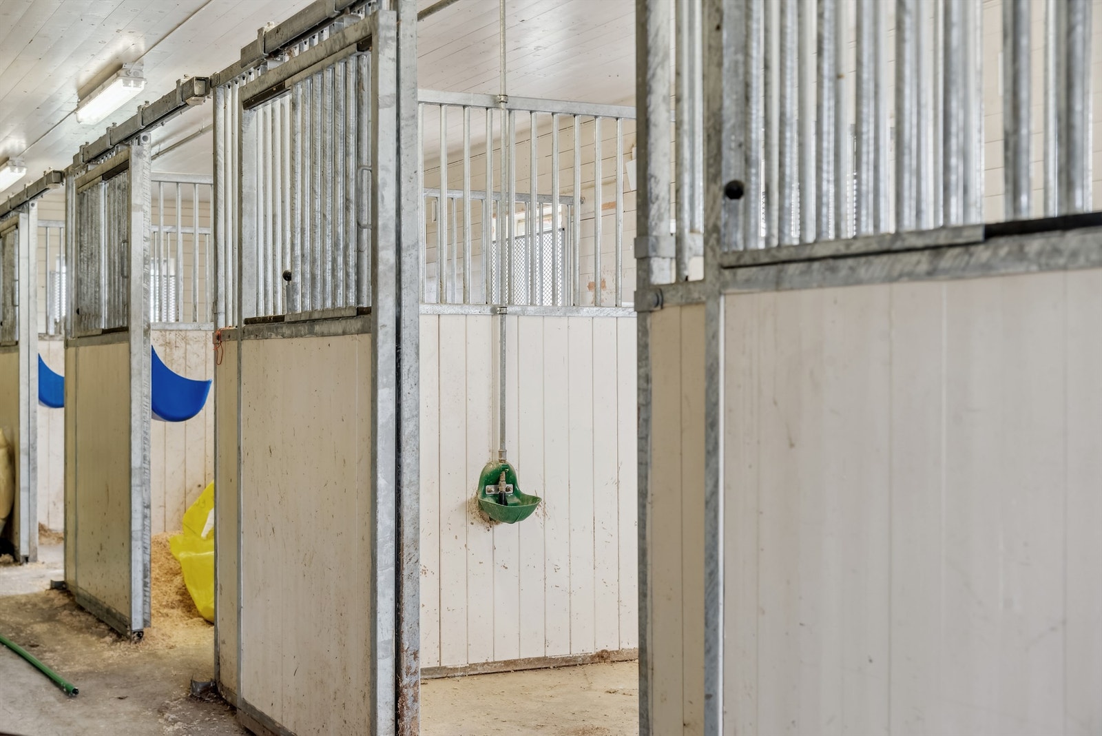 Stallbokser, stall Galleribilde