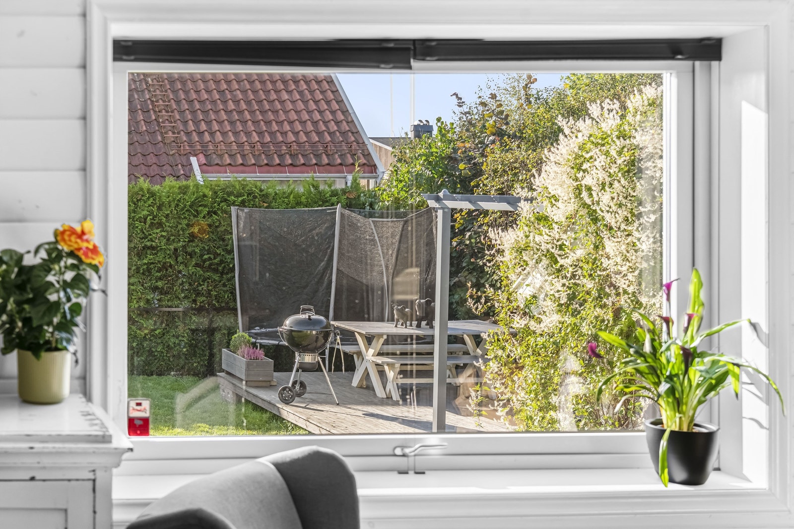 Utsikt fra stuevindu ut i hagen Galleribilde