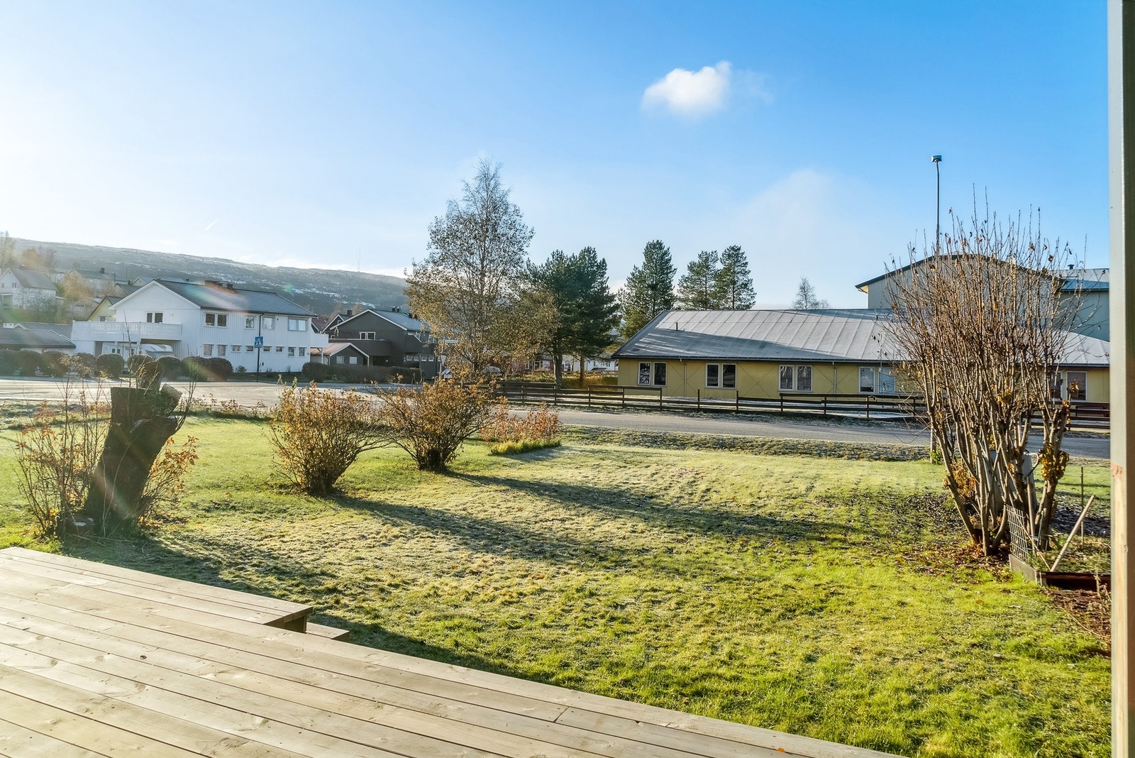 Stort hageområde. Galleribilde