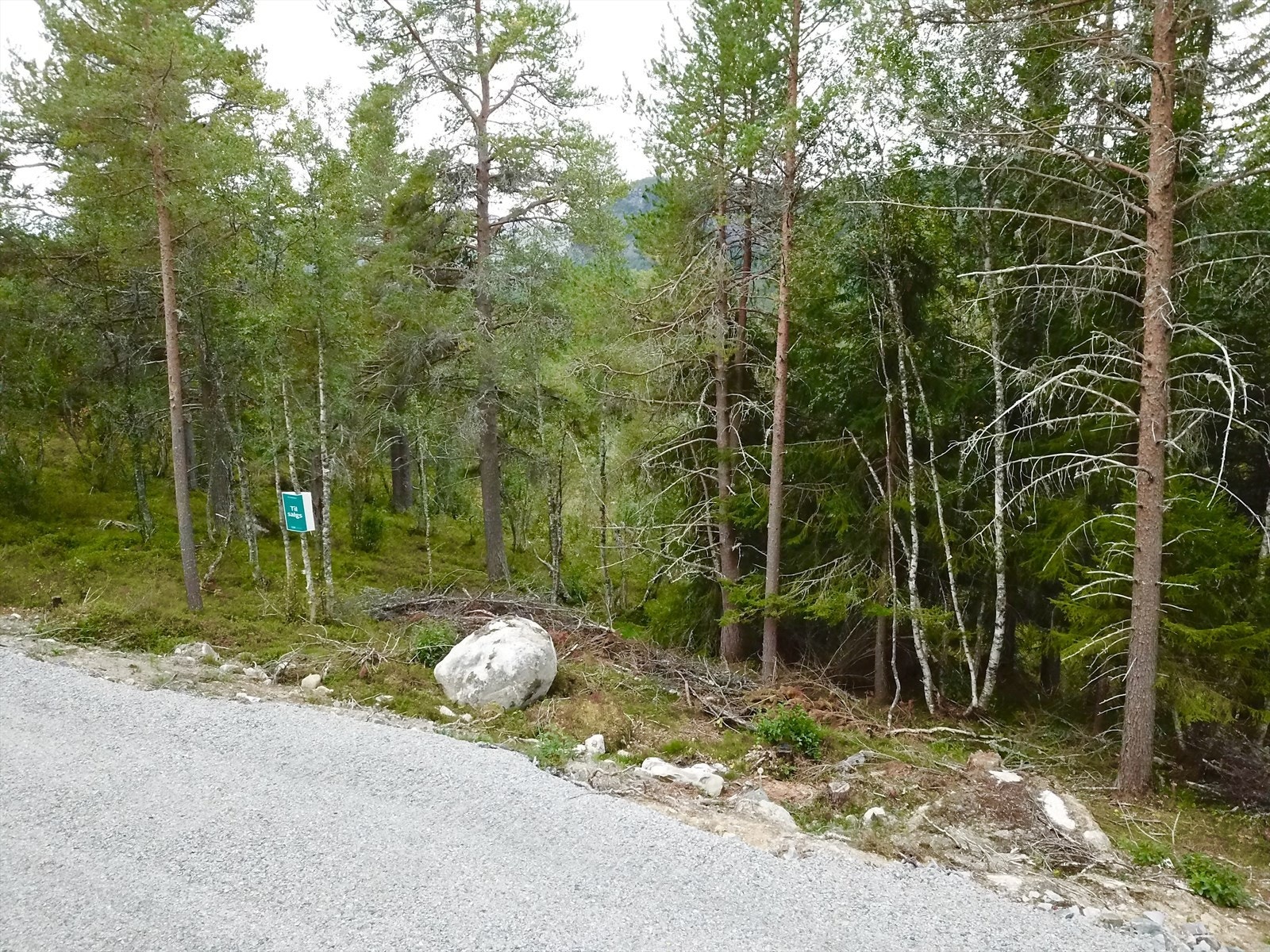 objpict_364028543110887_0.jpg Galleribilde