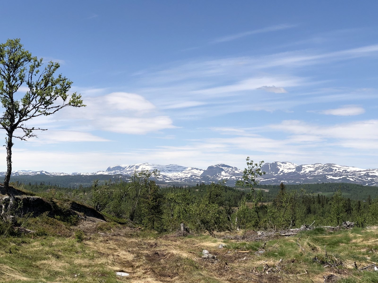 Område. Galleribilde