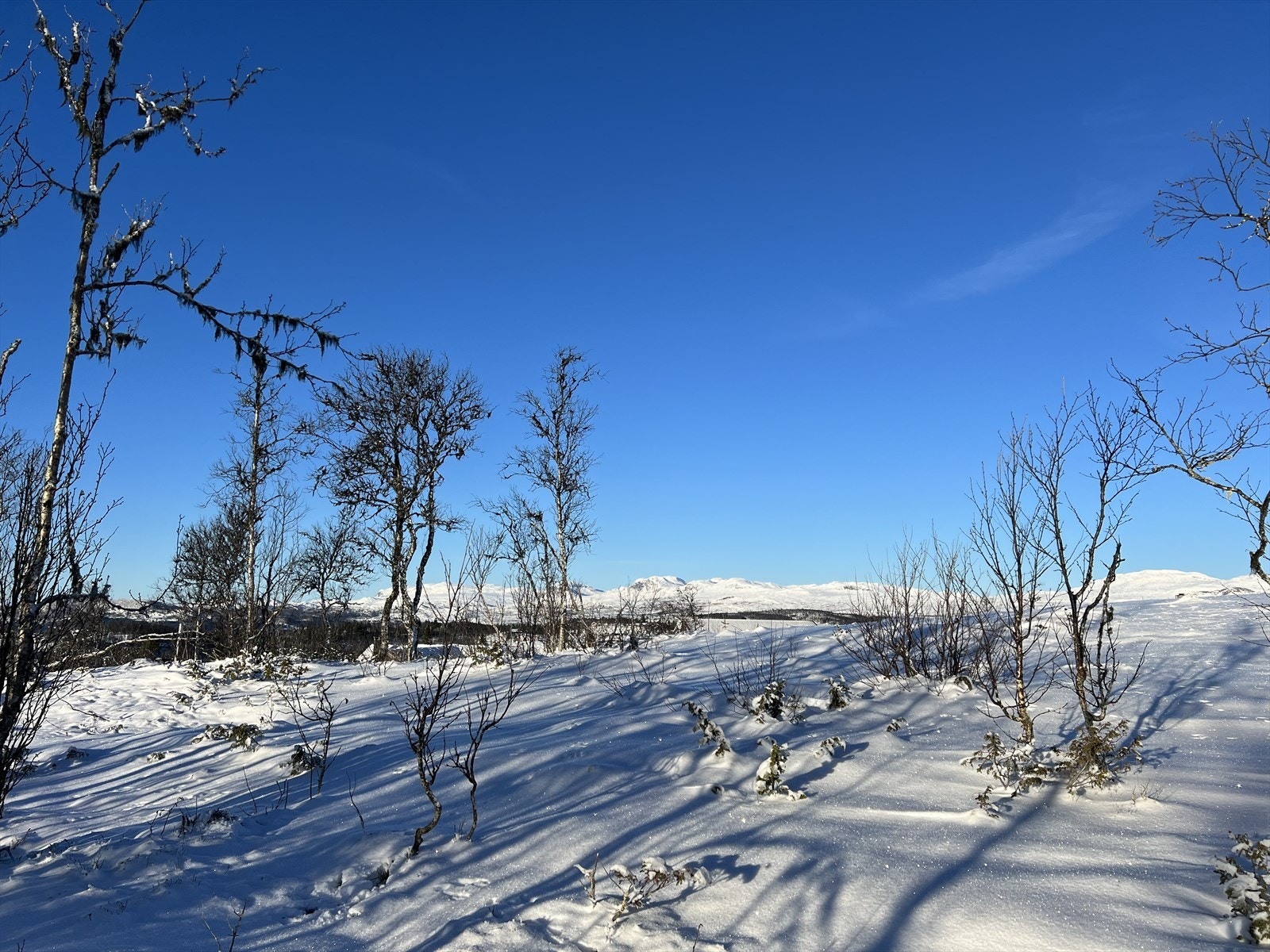 Fjellkjeden Nord i Ål kommune Galleribilde