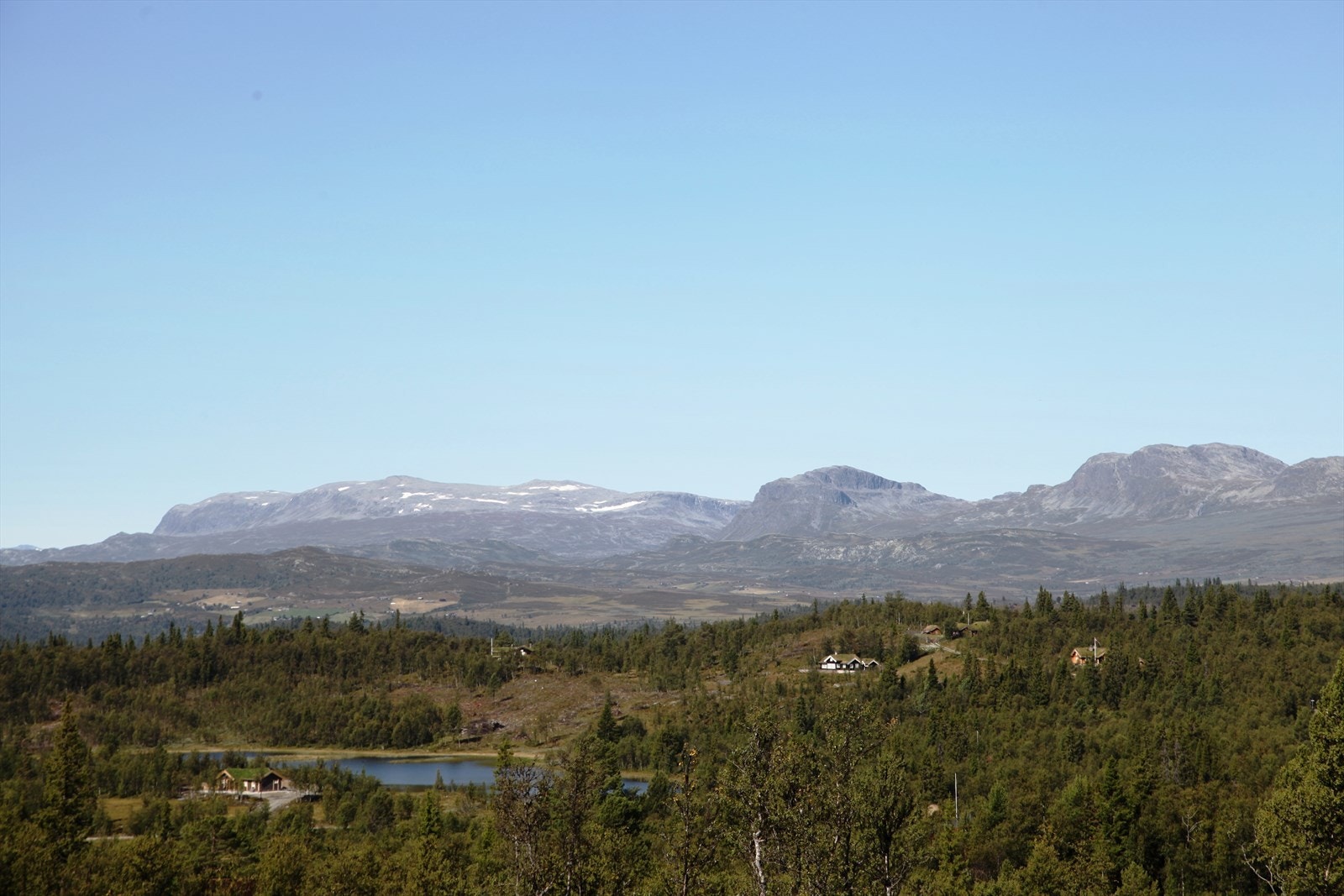 Reineskarvet, Blåbergi og Lauvdalsbrea Galleribilde