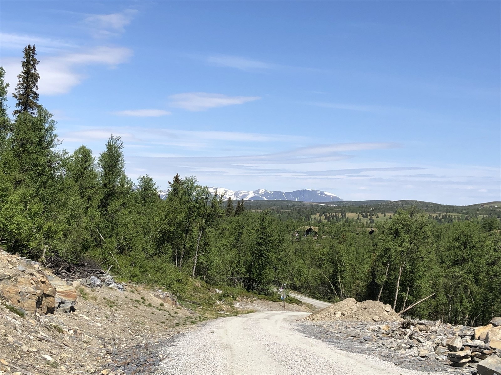 Veien opp til hyttefeltet . Galleribilde