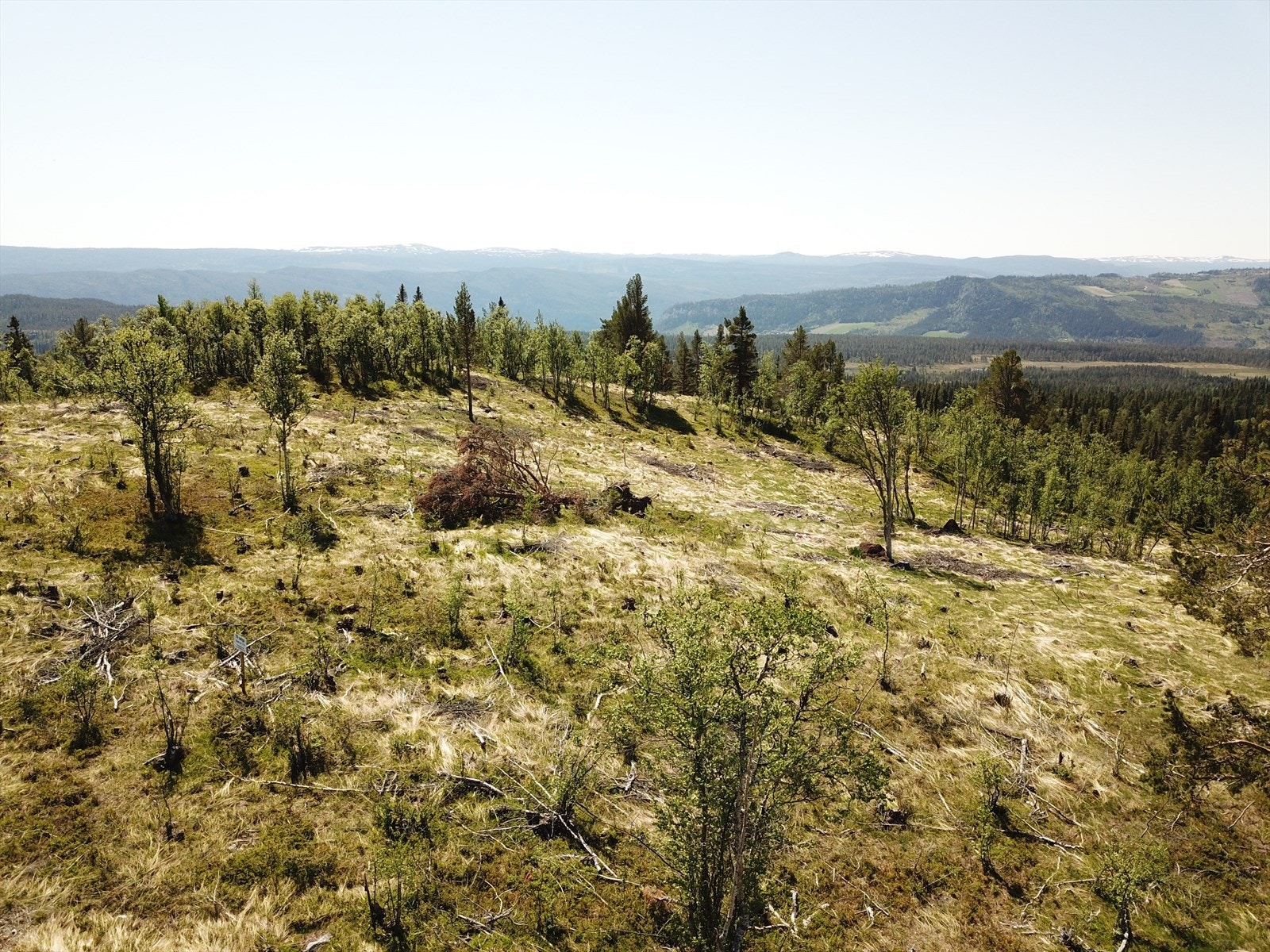 Utsikt fra tomt 39 og 40 Galleribilde
