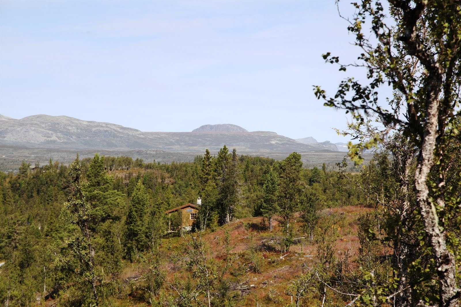 Storehorn i Hemsedal Galleribilde