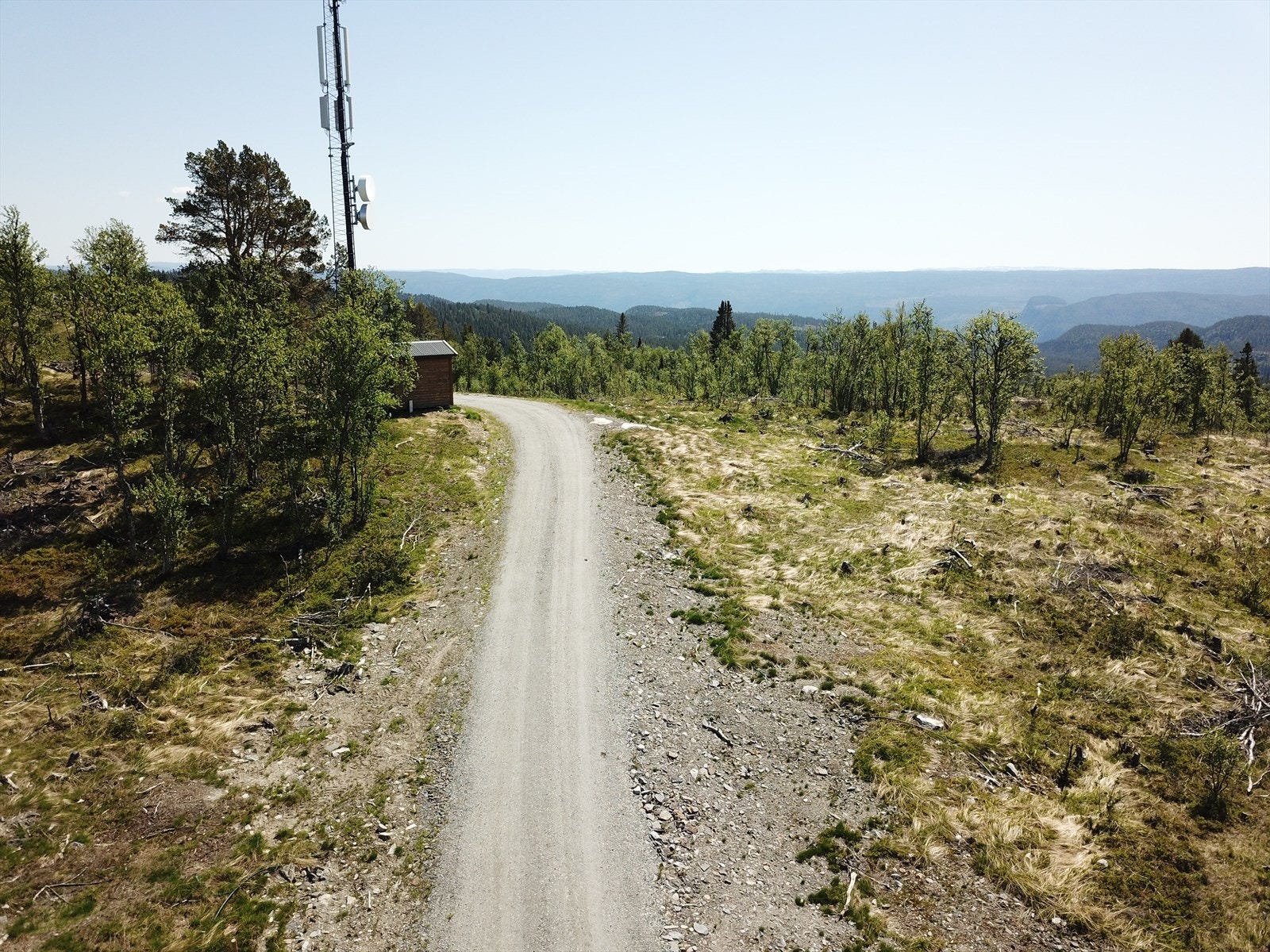 Tomt nr 39 og 40 på høyre side av veien. Galleribilde