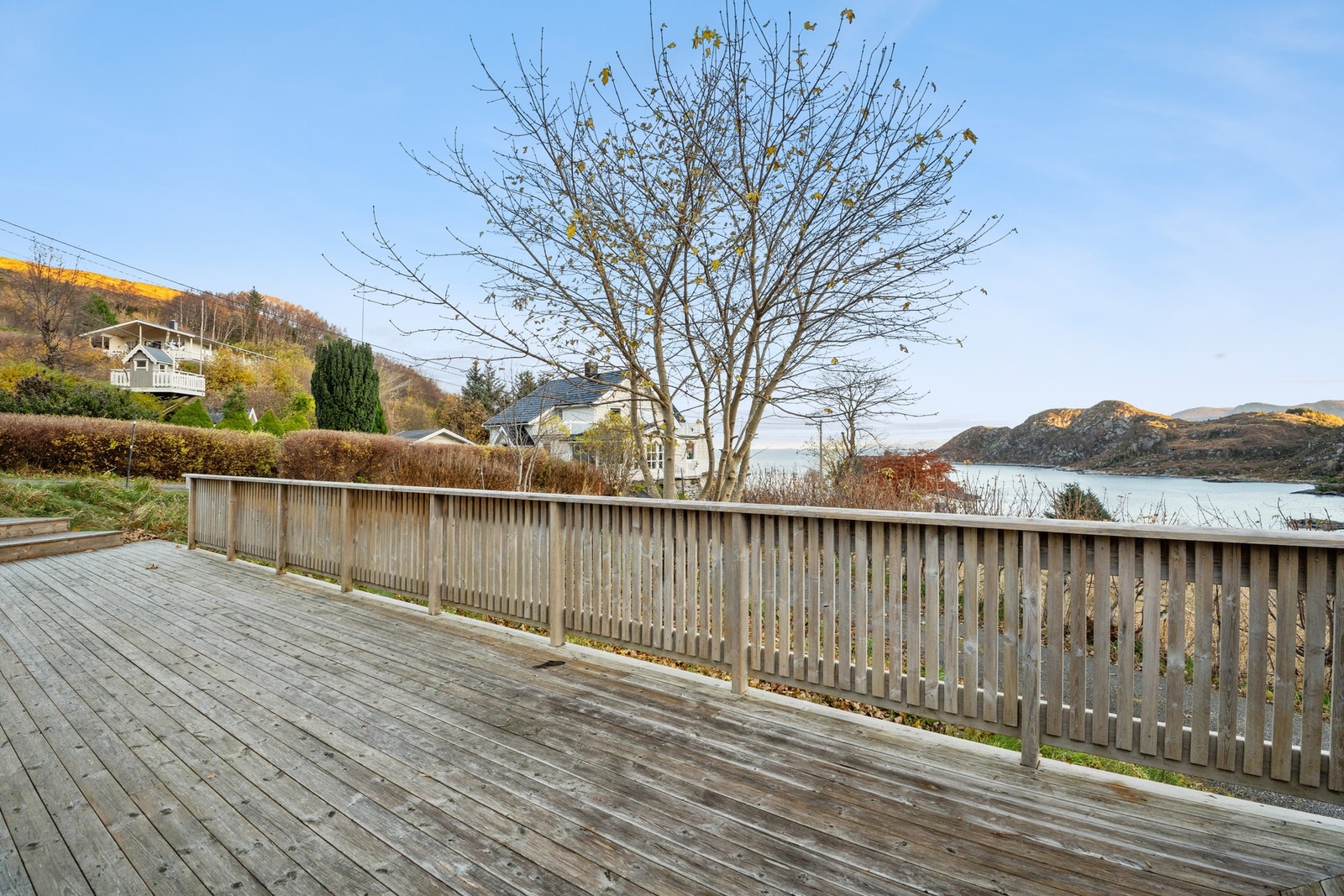 Flott utsikt. Galleribilde