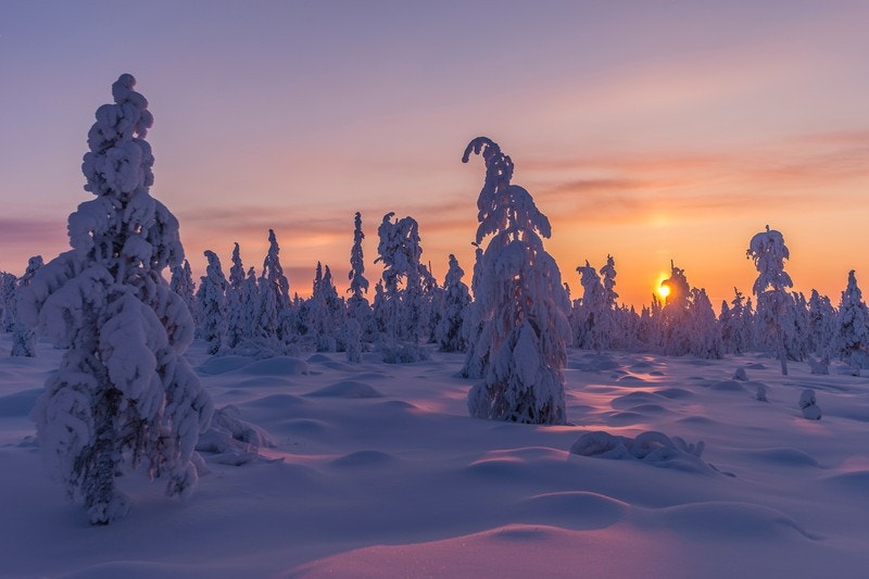 Ilustrasjonsbilde Galleribilde