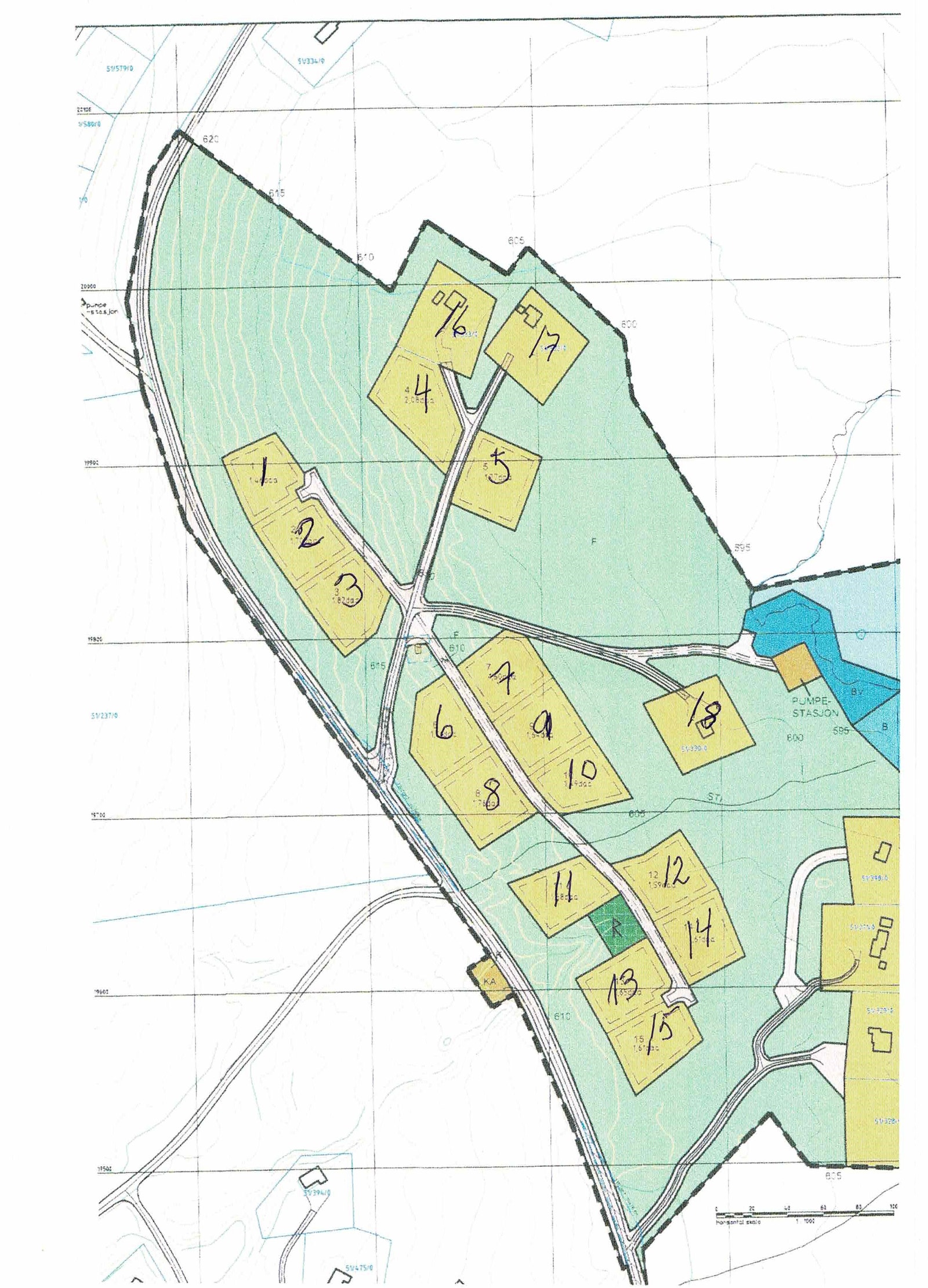 Bekkeblom på tomt 12 Galleribilde