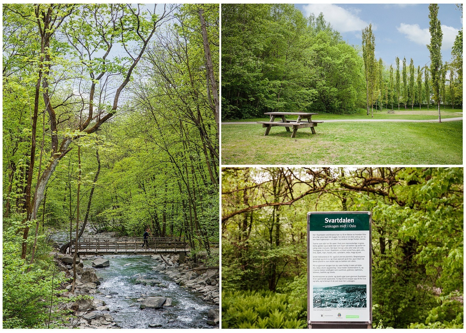 Boligen ligger i grønne og svært barnevennlige omgivelser i Lodalen med kort vei til barnehage, skoler, offentlig kommunikasjon, treningssted, idylliske parker, flotte idrettsanlegg m.m Galleribilde