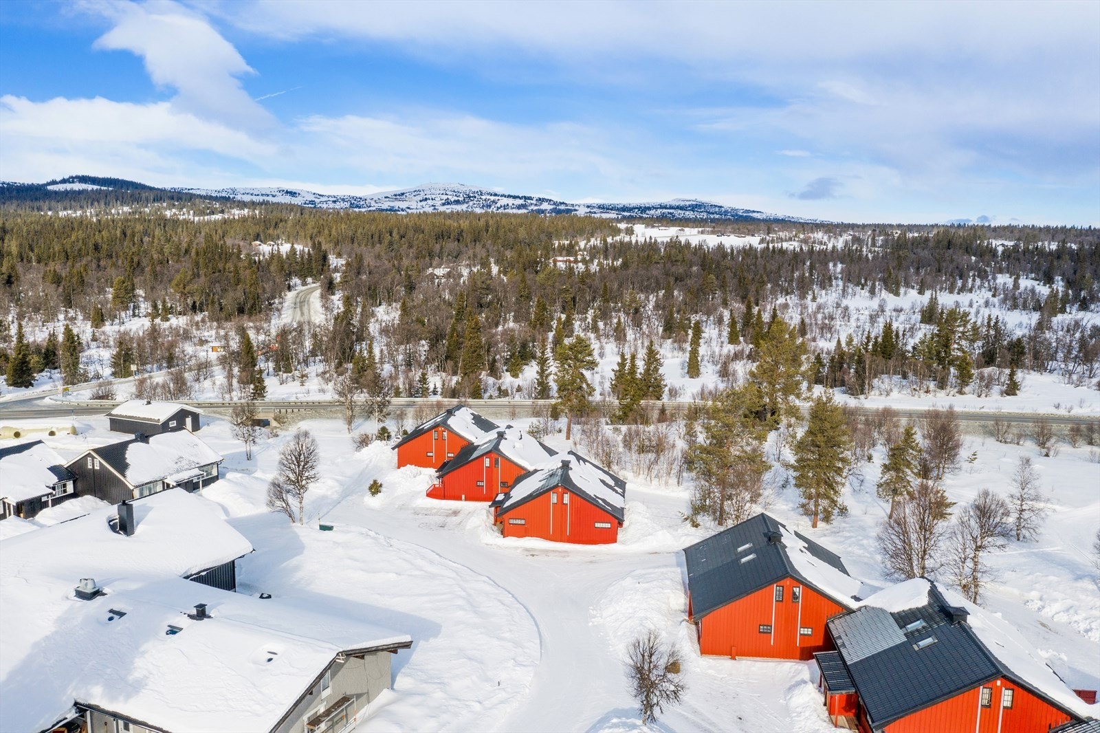Velkommen til fjells og på visning! Galleribilde