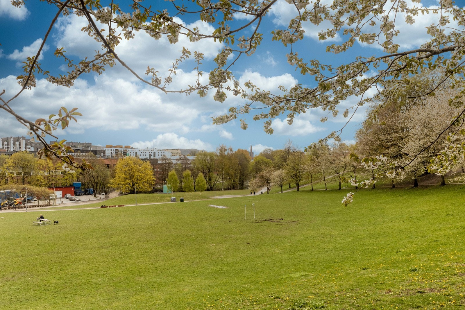 Myreløkka er en park langs Akerselva. Galleribilde