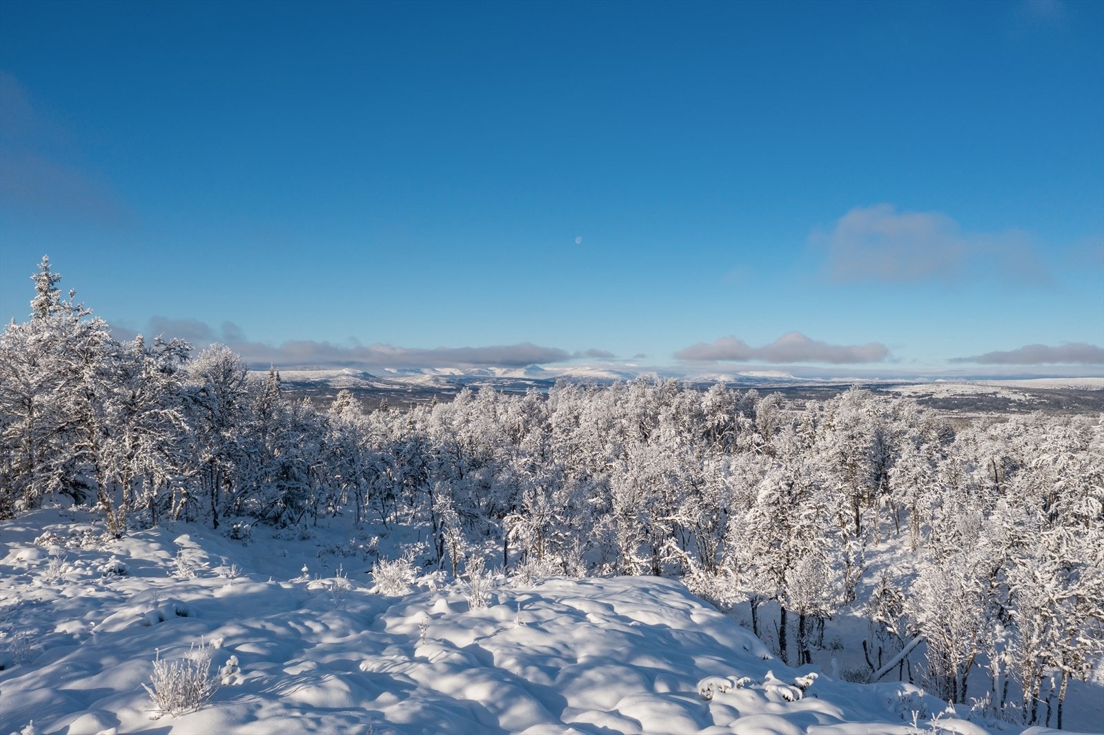 Nydelig utsikt og et fantastisk fjellområde for både liten og stor. Galleribilde