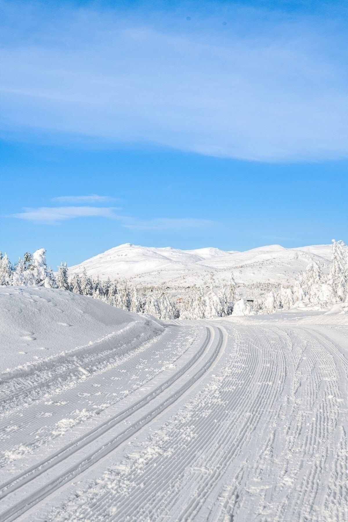Lifjell løypelag legger ned en flott jobb med løypenettet på Lifjell Galleribilde