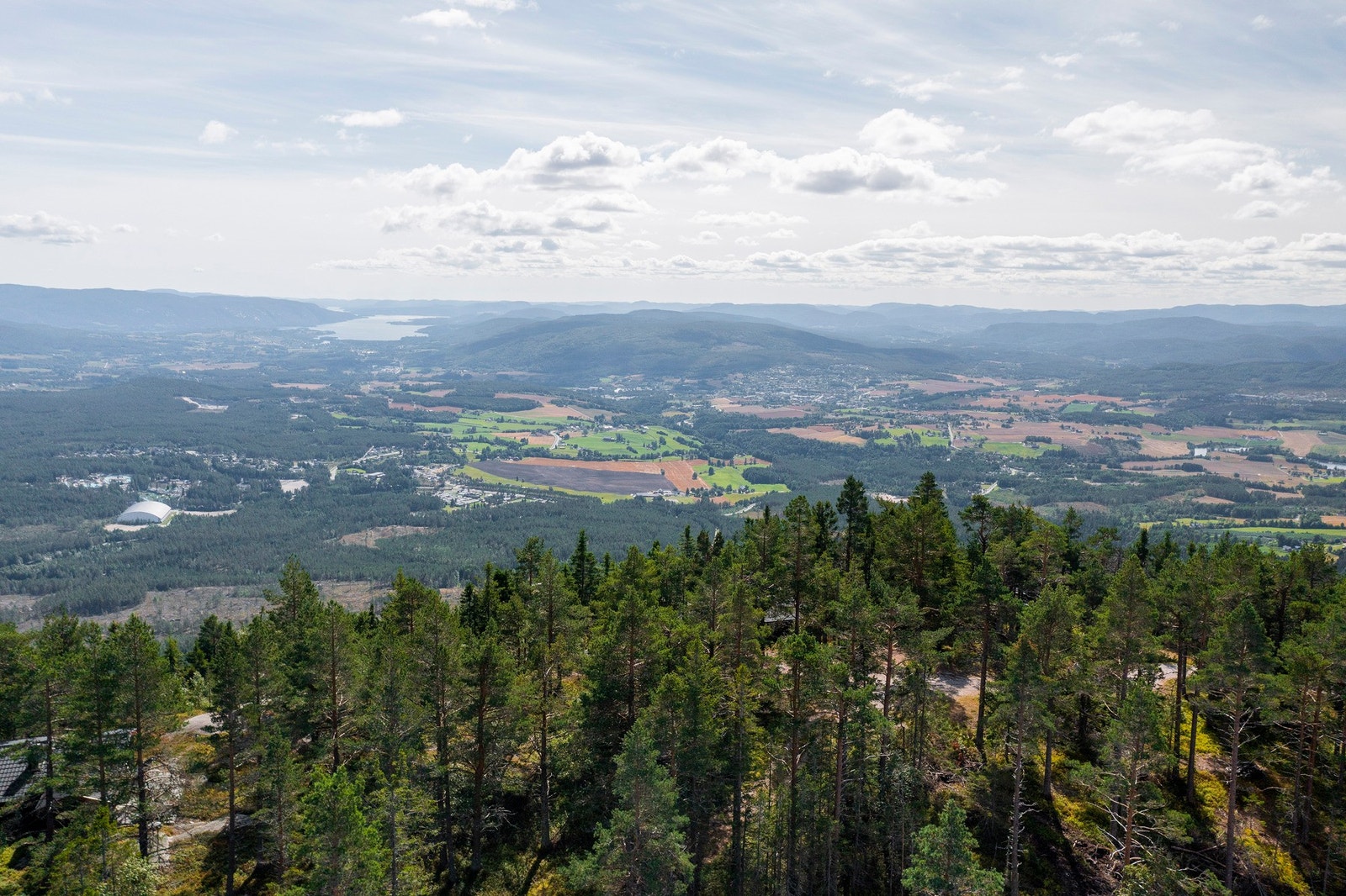 Fra tomteområdet Galleribilde