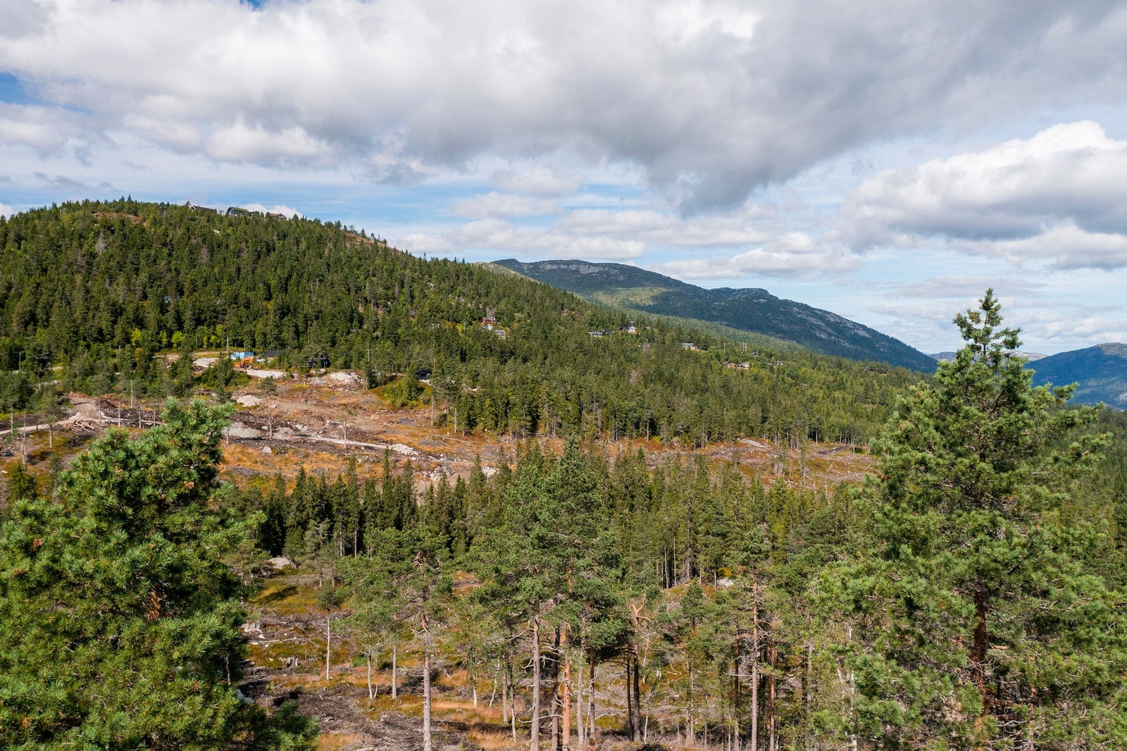 Fra tomteområdet Galleribilde