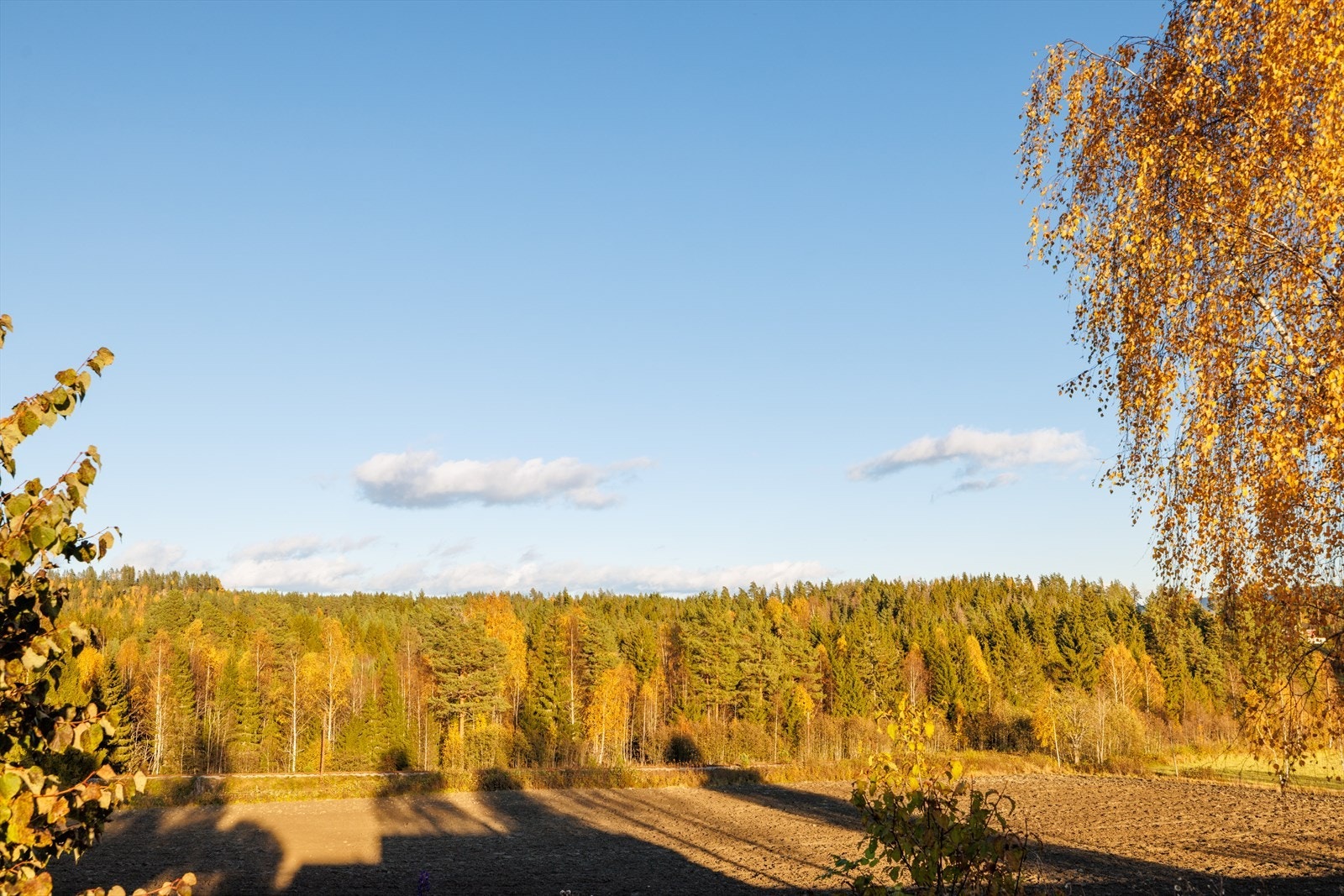 Fra eiendommen er det flott utsikt mot nærliggende områder. Galleribilde
