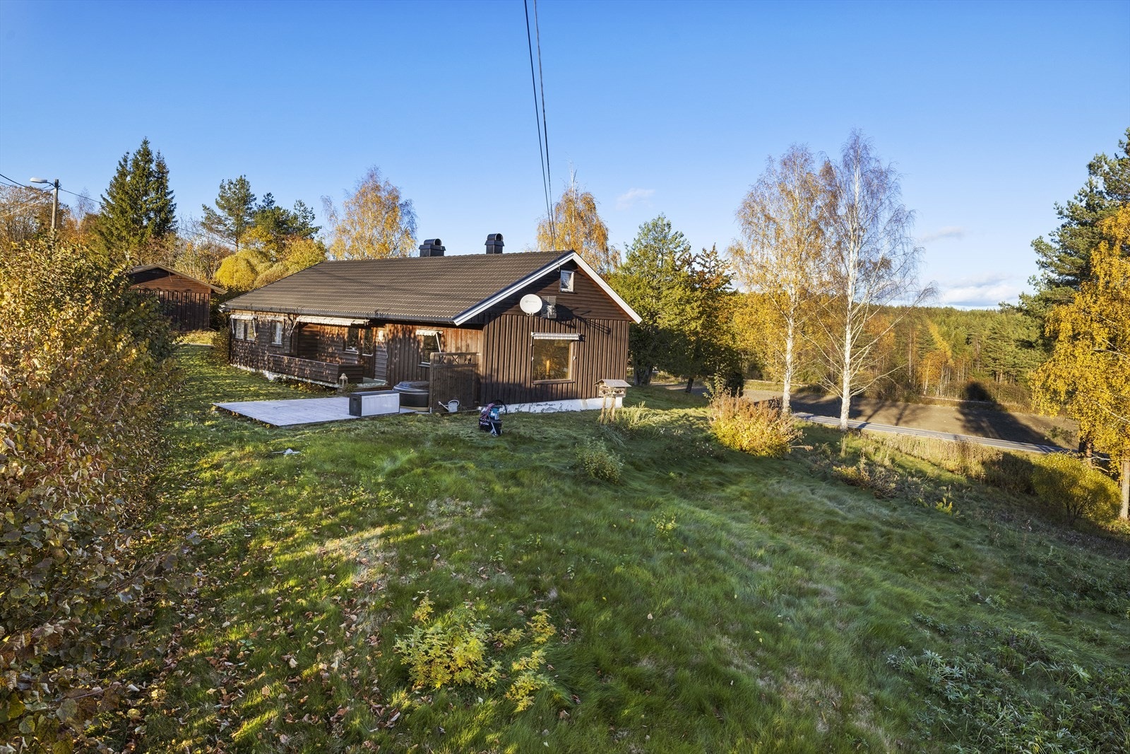 Stor hage med plen, hekk og diverse beplantning. Galleribilde