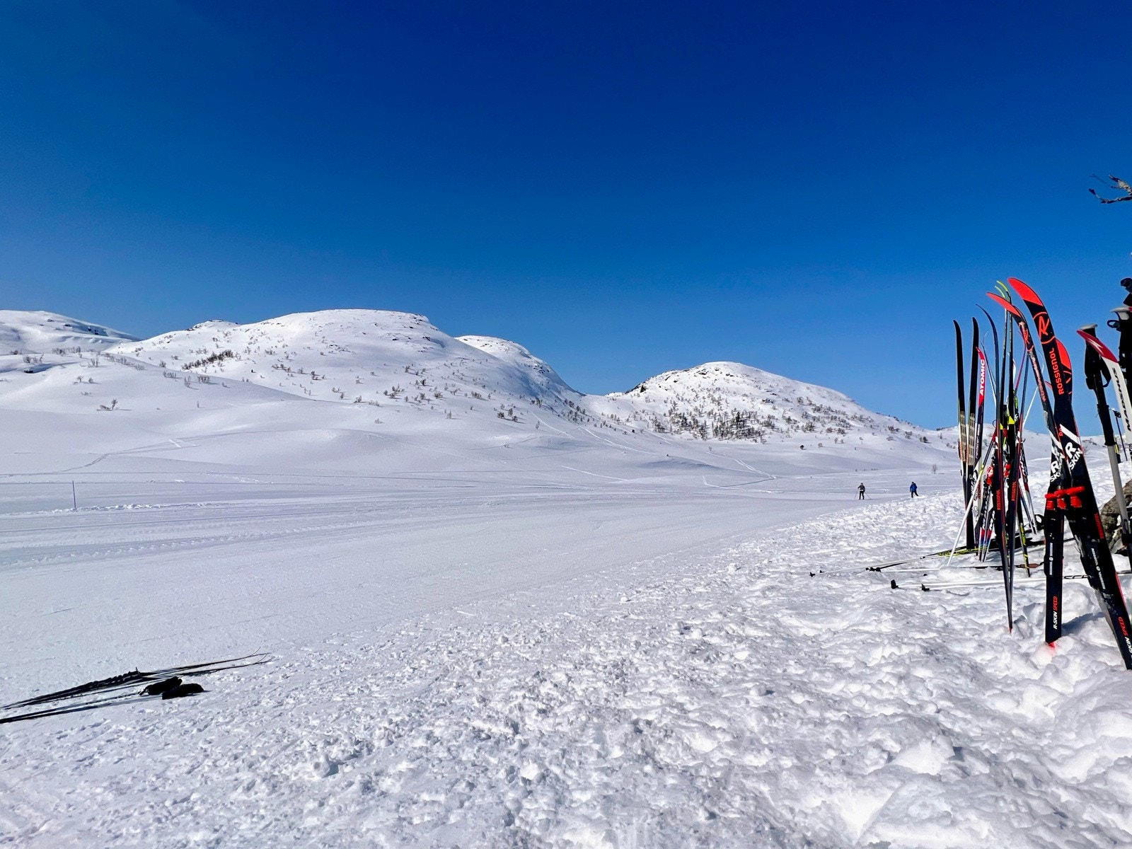Fantastiske Silkedalen, som ligger rett øst for tomten Galleribilde