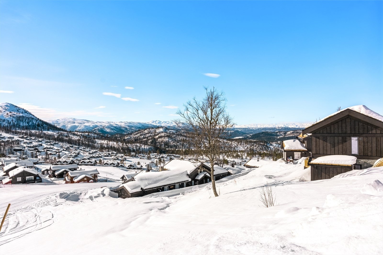 Hele familien kan nyte late og aktive dager med ulike aktiviteter uten at bilen behøver å benyttes Galleribilde