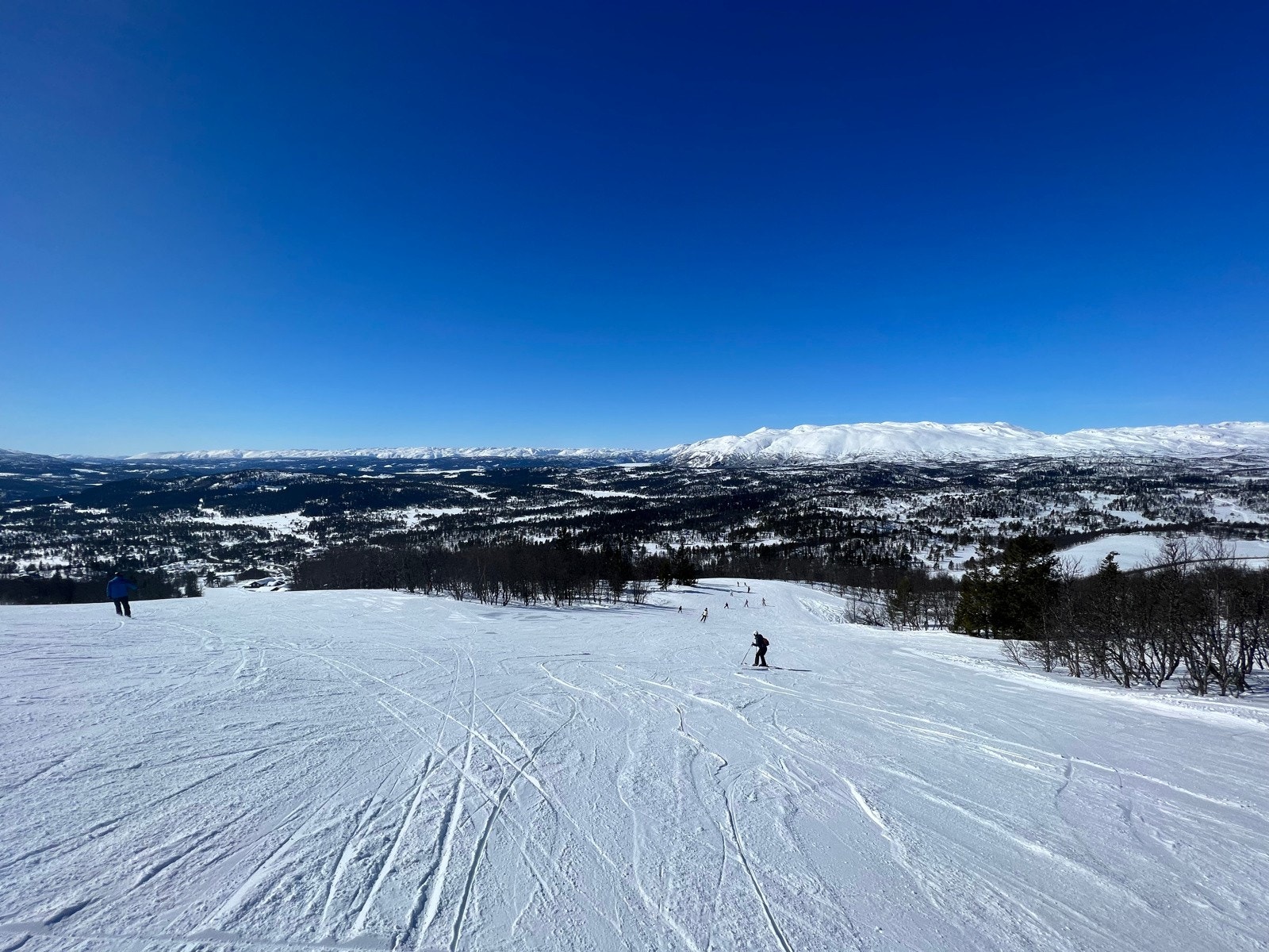 Bakkene ved Rauland skisenter ved Tiur! Sjekk utsikten! Galleribilde