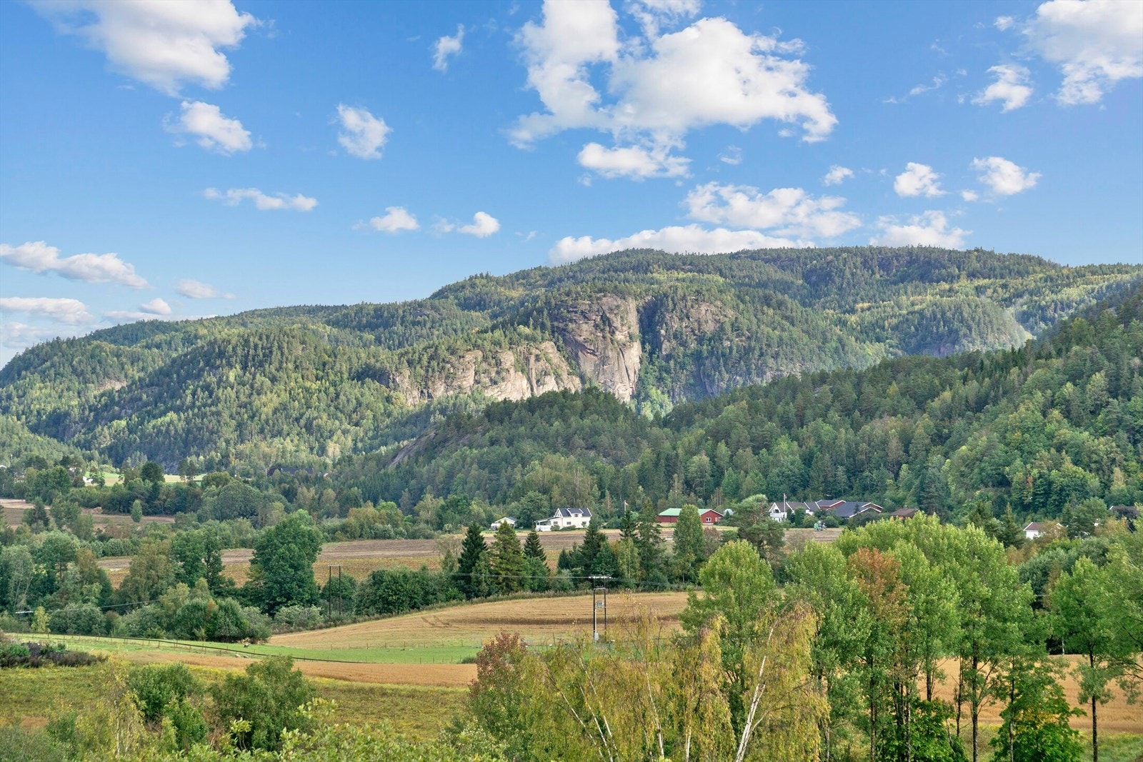 Østover mot Damvannskollen Galleribilde