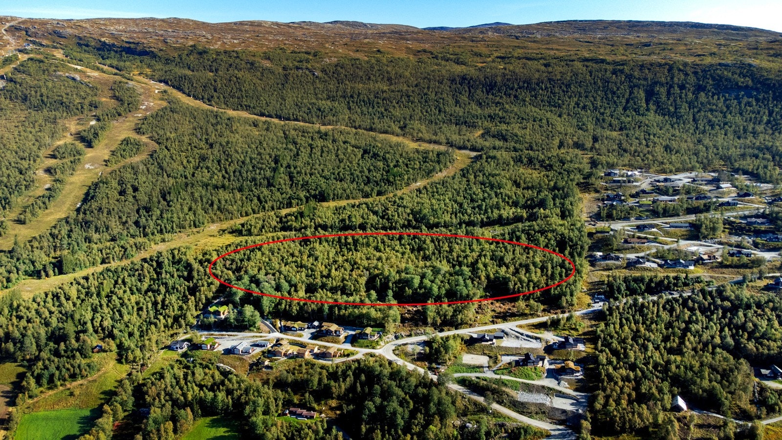 Bjorli Premium - oversiktsbilde Galleribilde