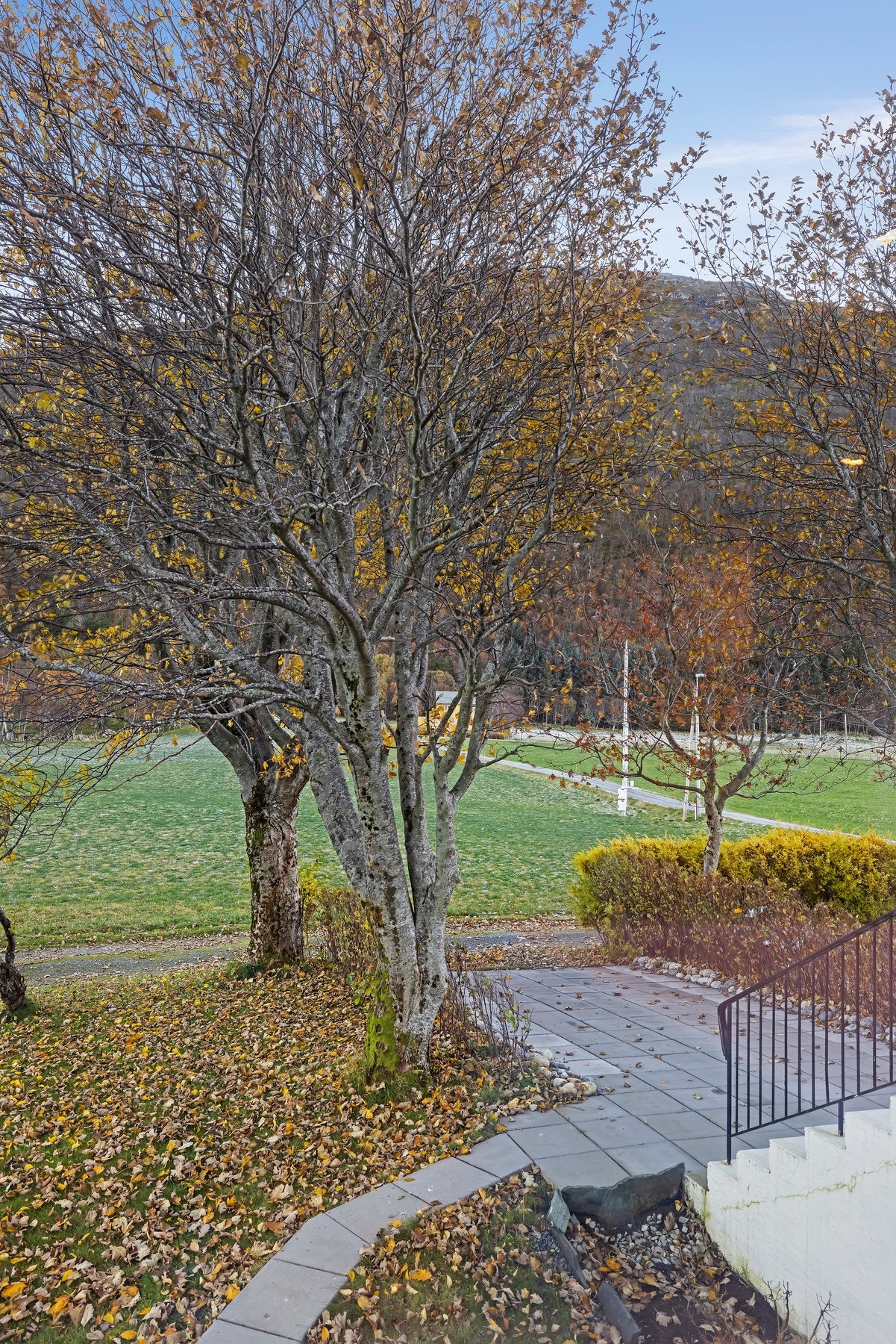 Høst i Rekdalen Galleribilde